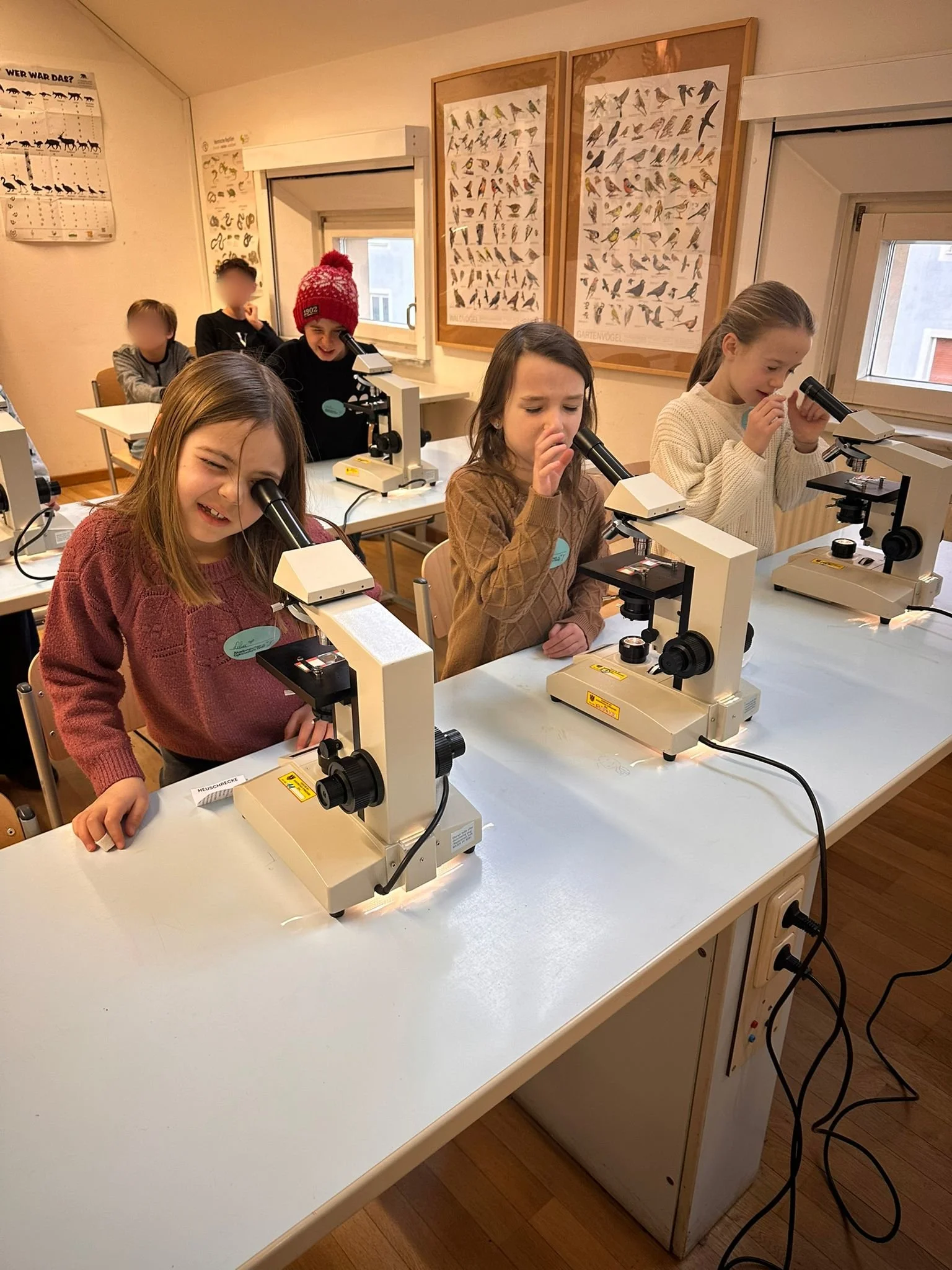 Besuch im akademischen Gymnasium