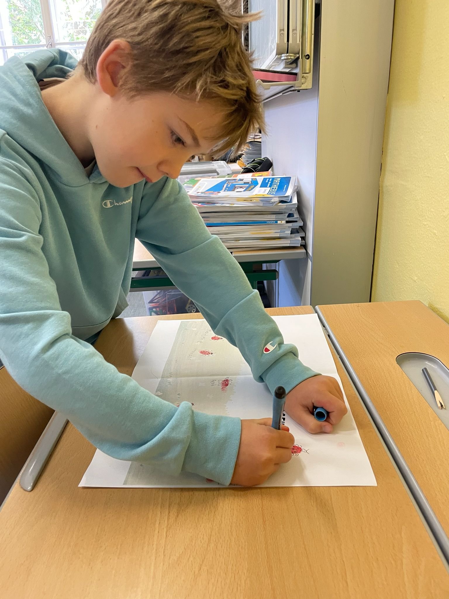 Marienkäfer-Projekt (12).jpeg