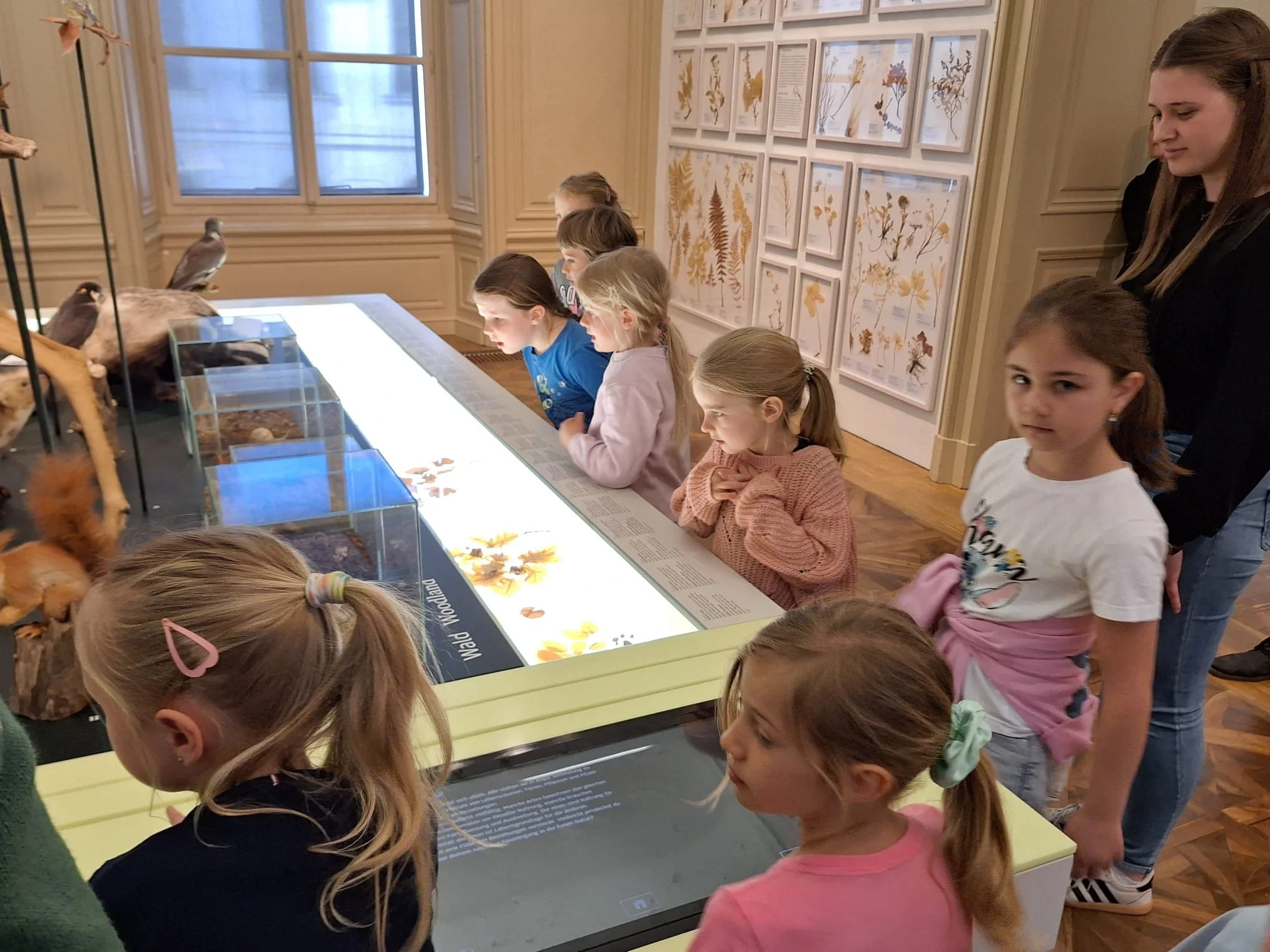 Museumstag 1a (1).jpg