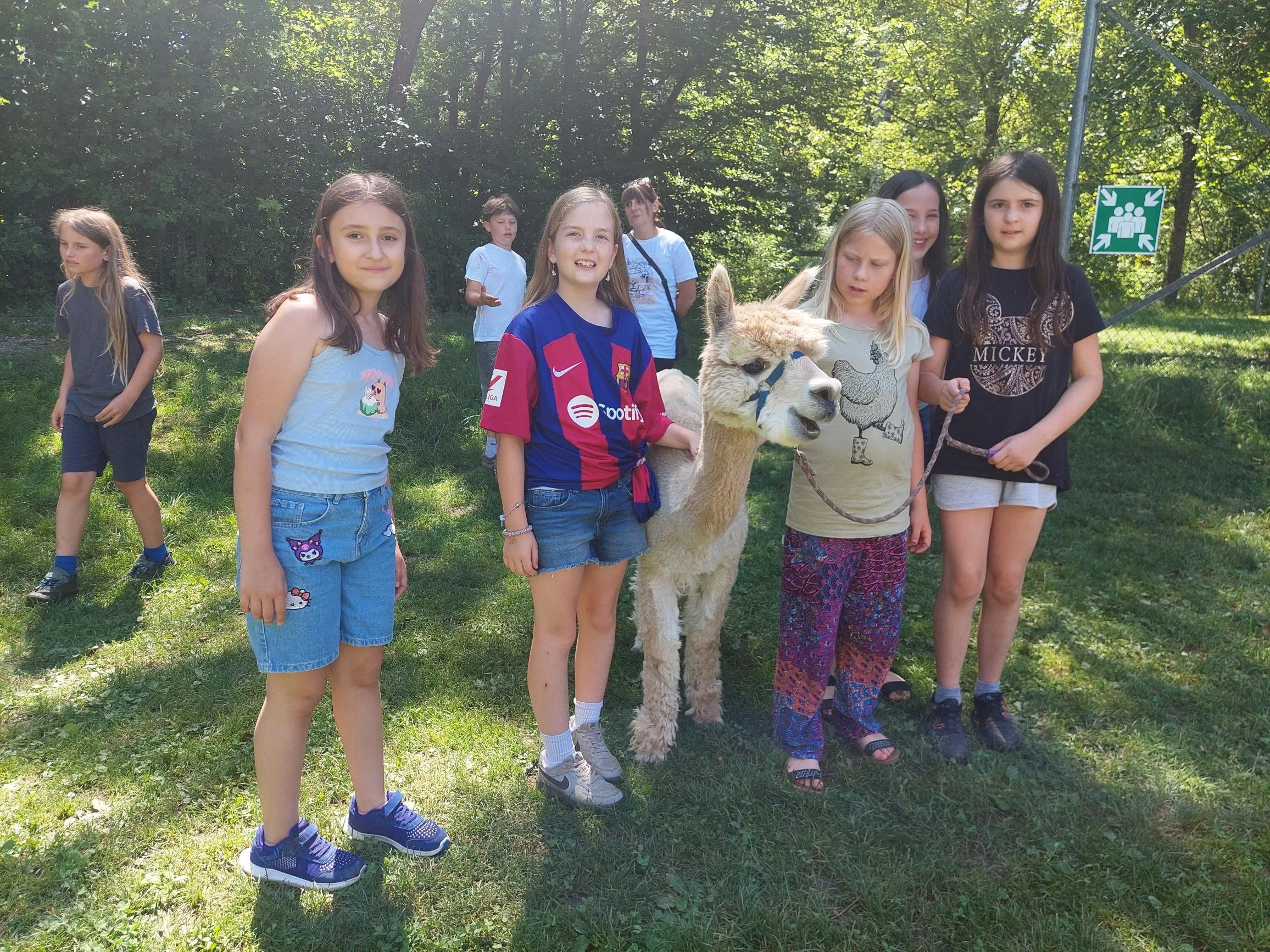 Alpakabesuch (10).jpg
