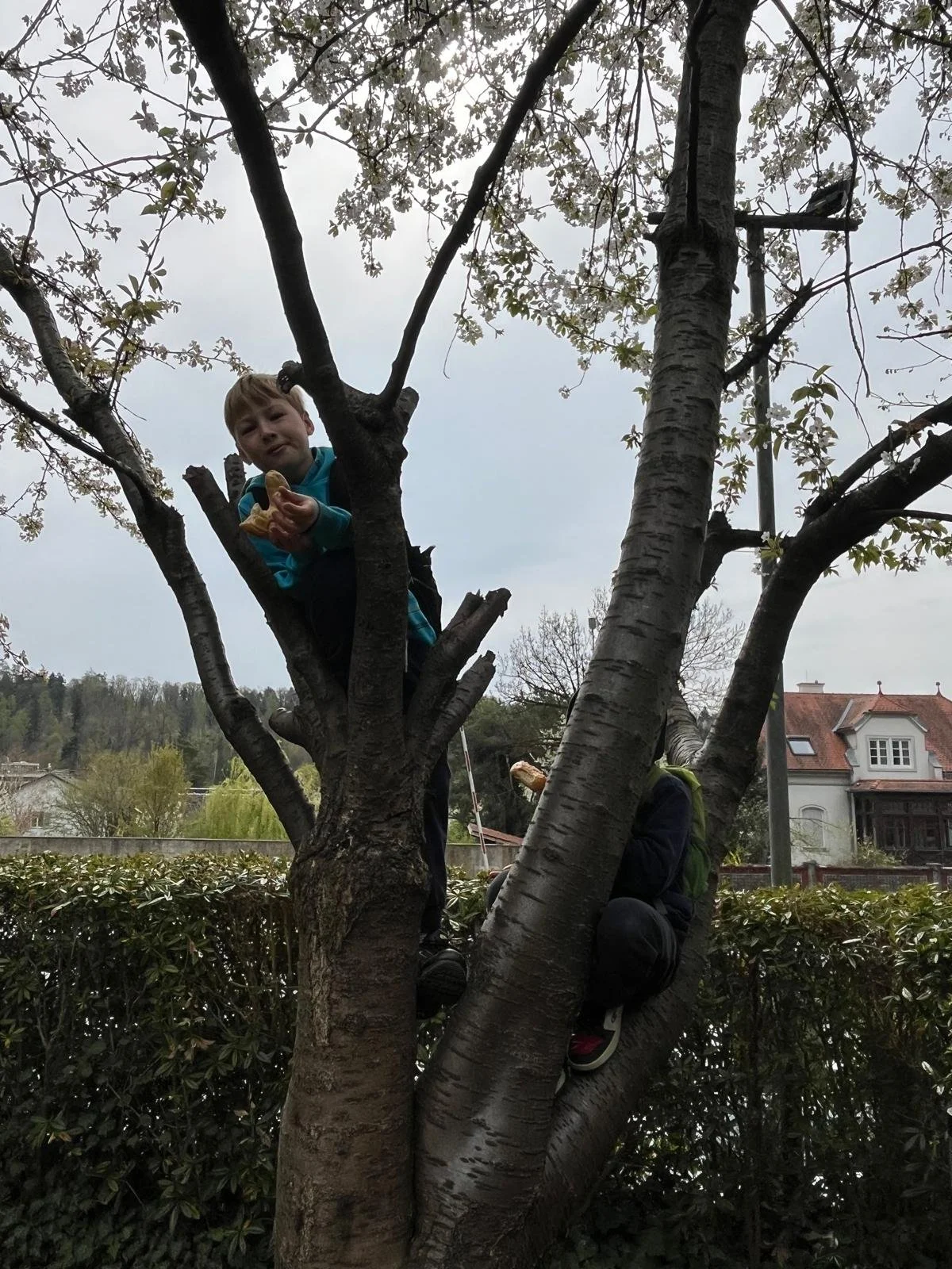 Bezirksrunde die Zweite (12).jpeg