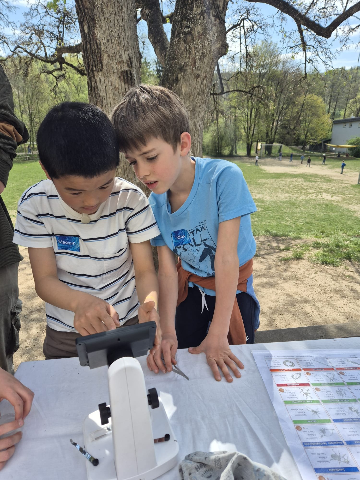 Schulhoferforschung (4).jpg