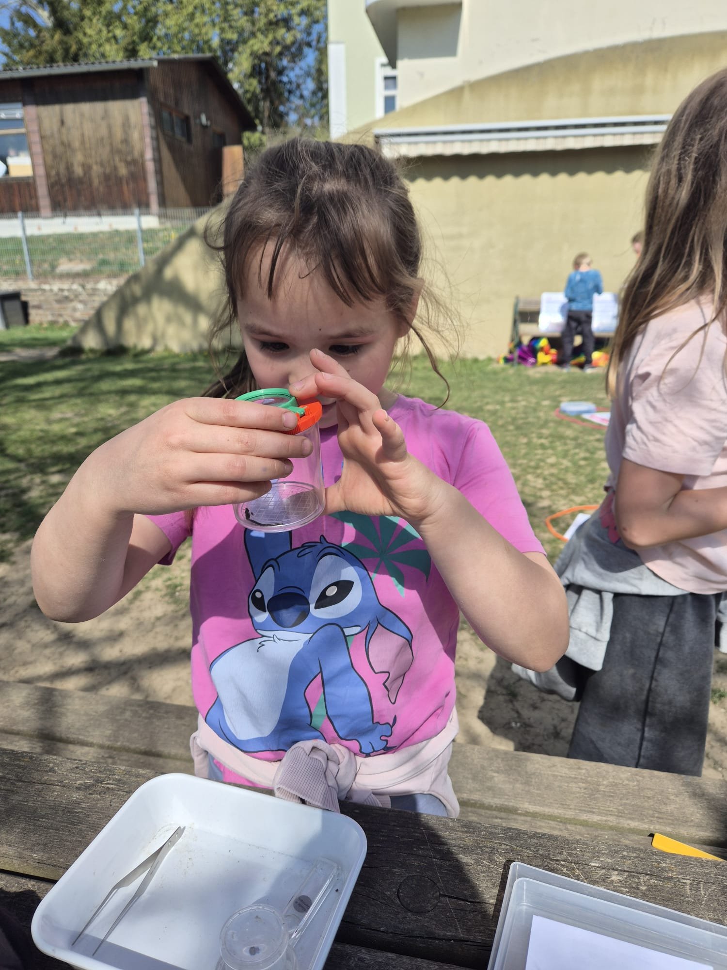 Schulhoferforschung (1).jpg