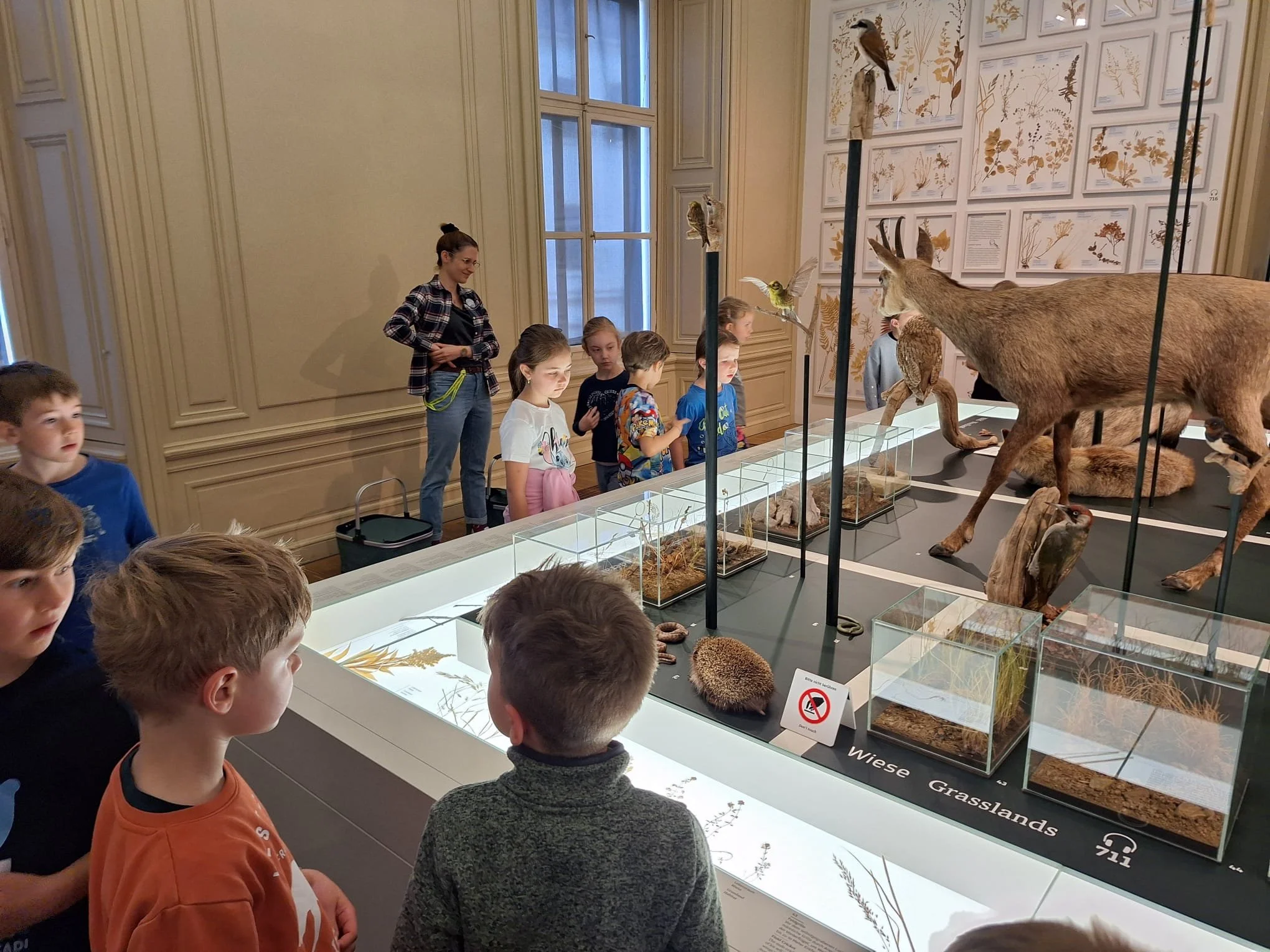 Museumstag