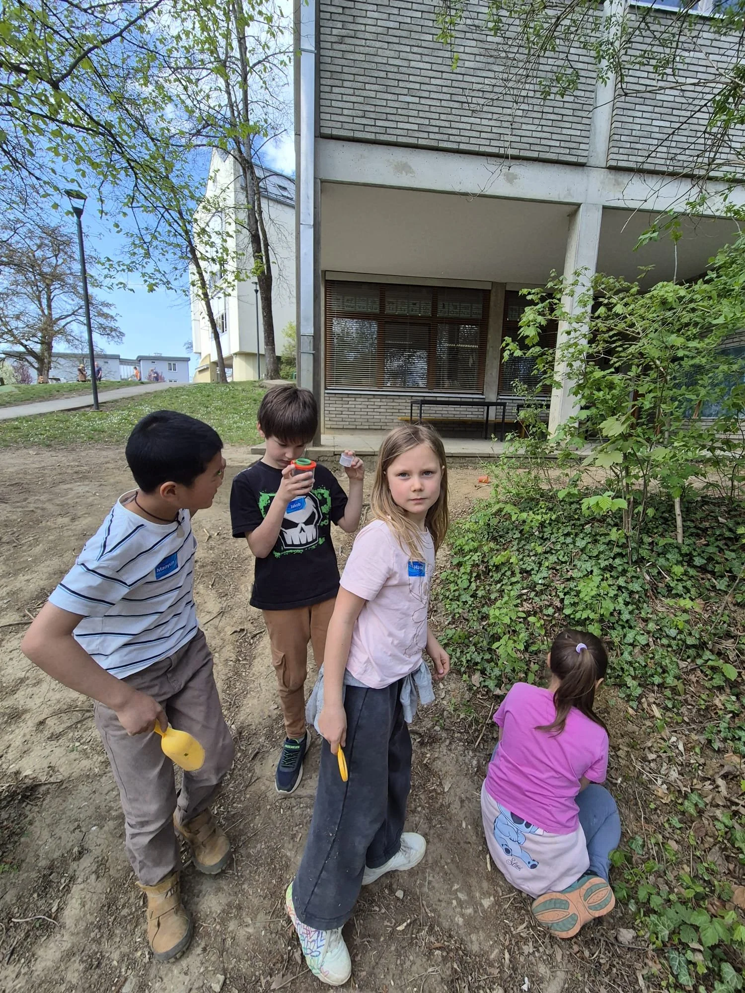 Schulhoferforschung (3).jpg