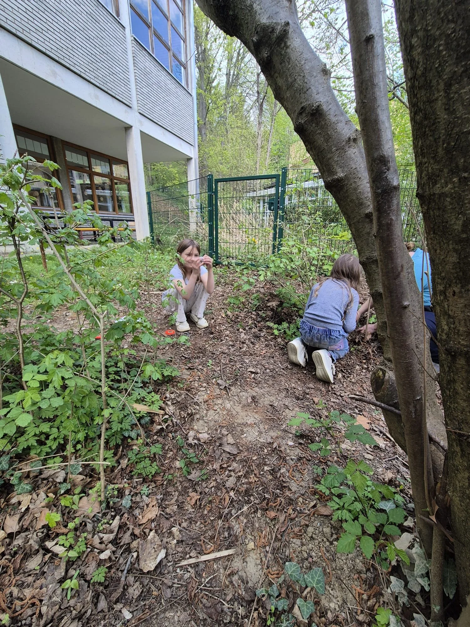 Schulhoferforschung (7).jpg