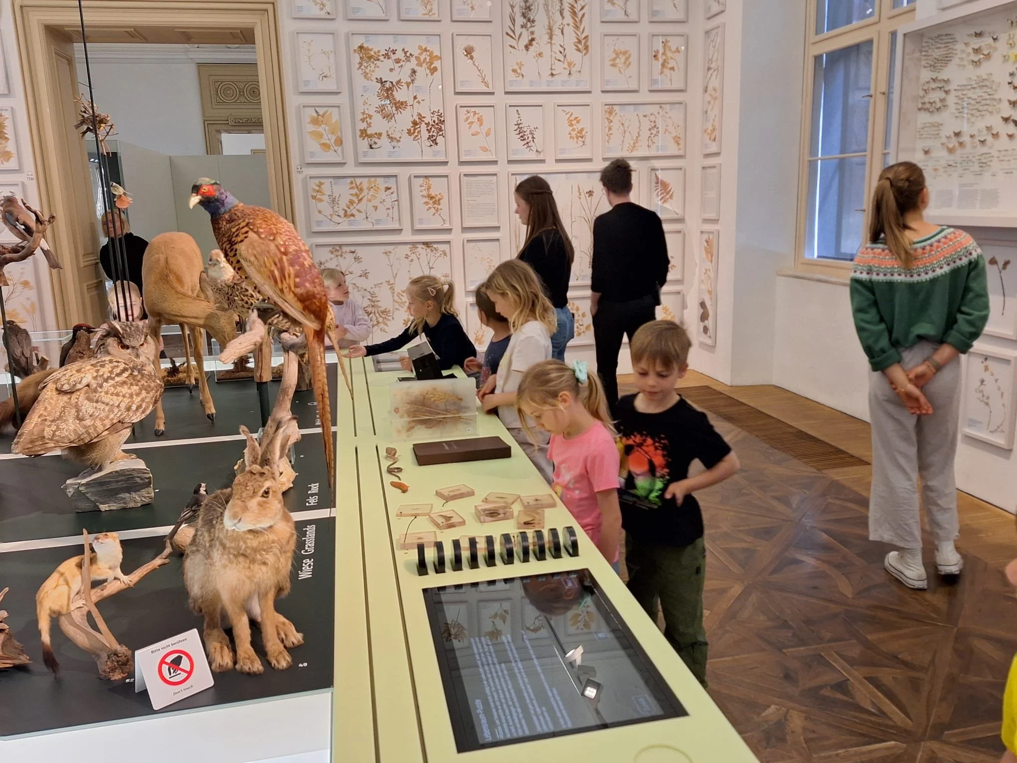 Museumstag 1a (8).jpg