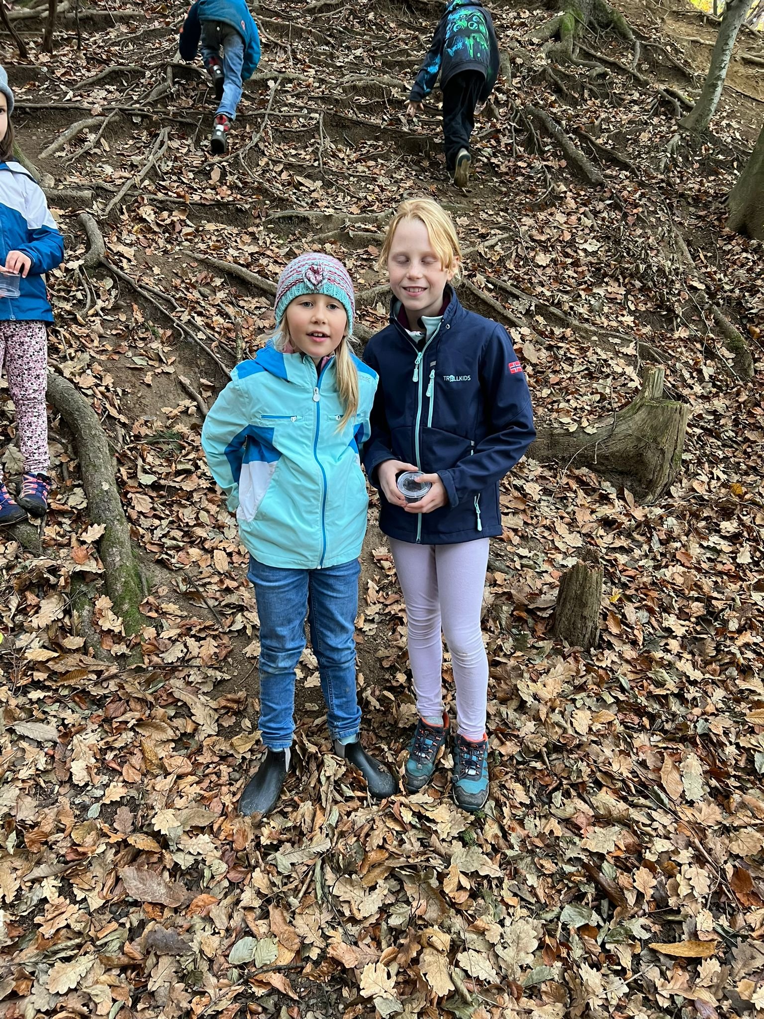 Wald 1b (17).jpeg