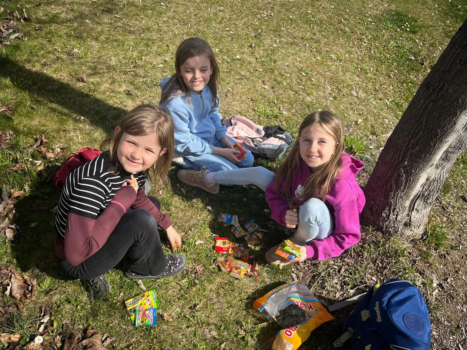 Bezirkskunde (5).jpeg