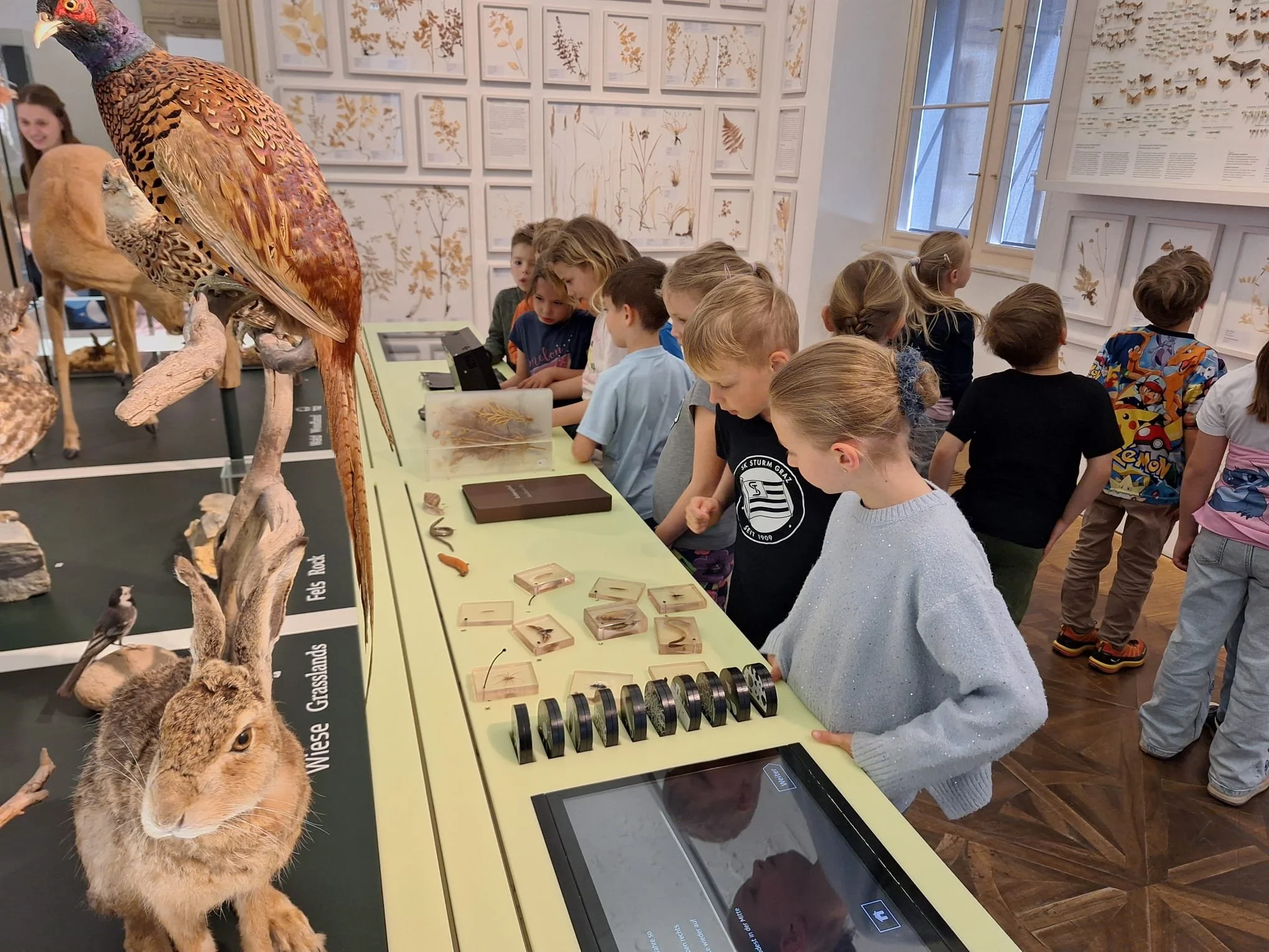 Museumstag 1a (3).jpg