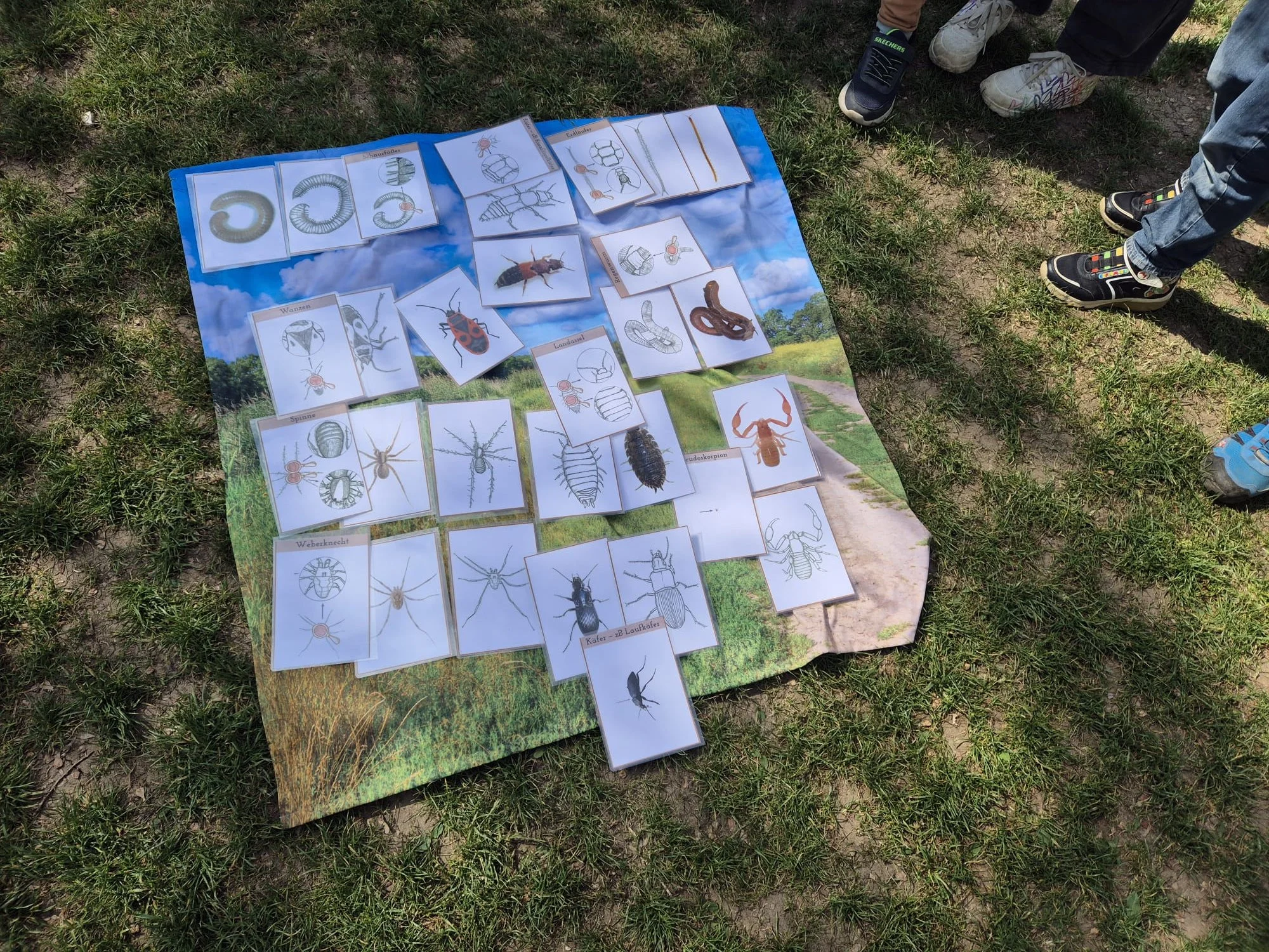 Schulhoferforschung (9).jpg