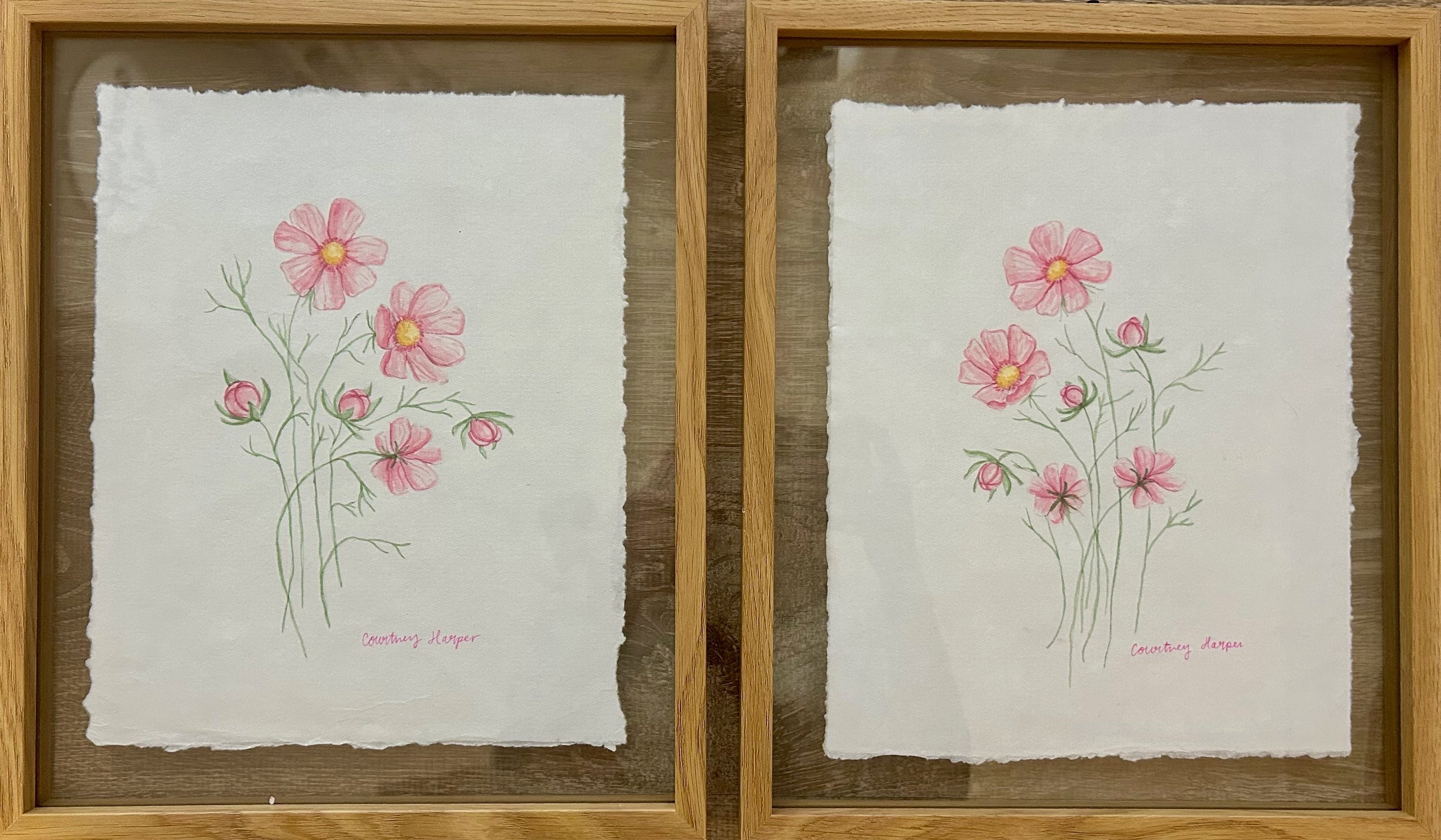 Framed Cosmos Watercolor Duo