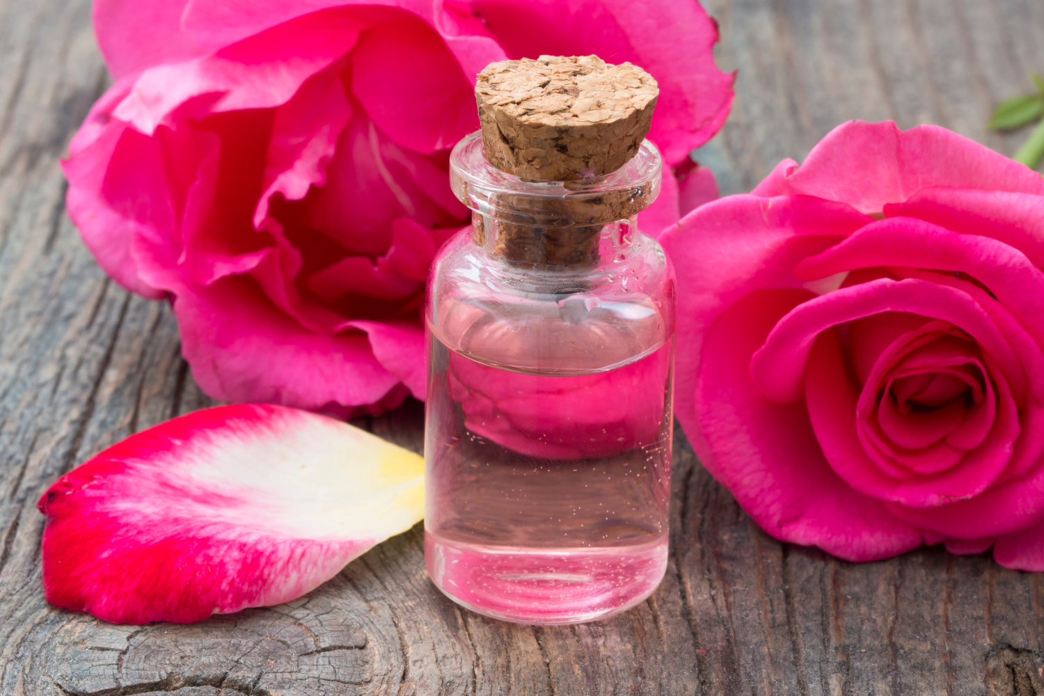 Summer Series 02: Rose Water Mist