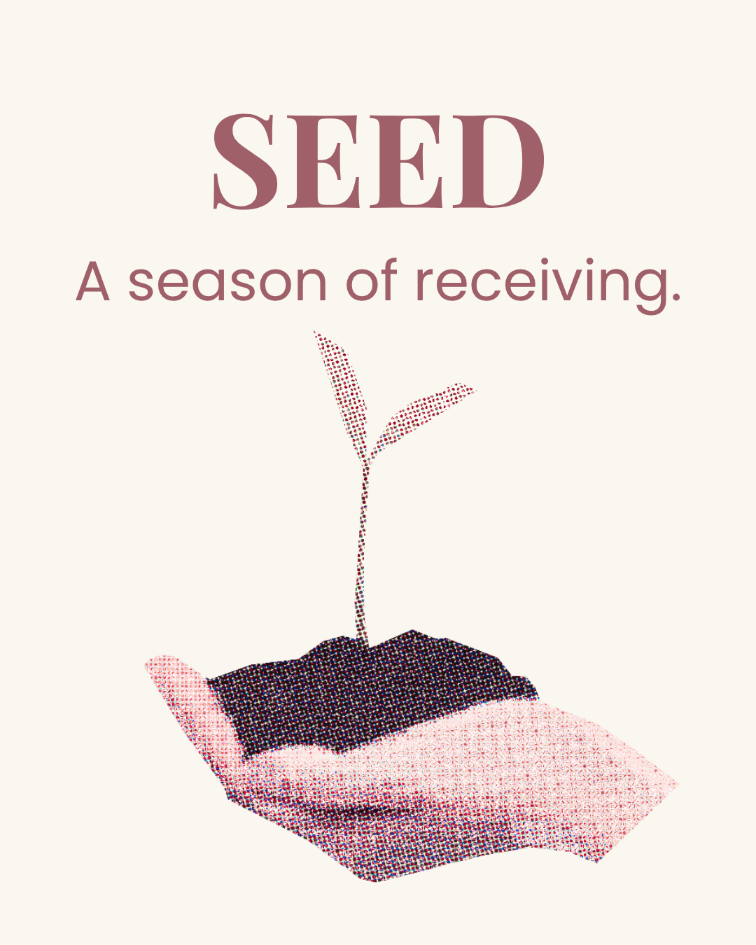🌱 Seed