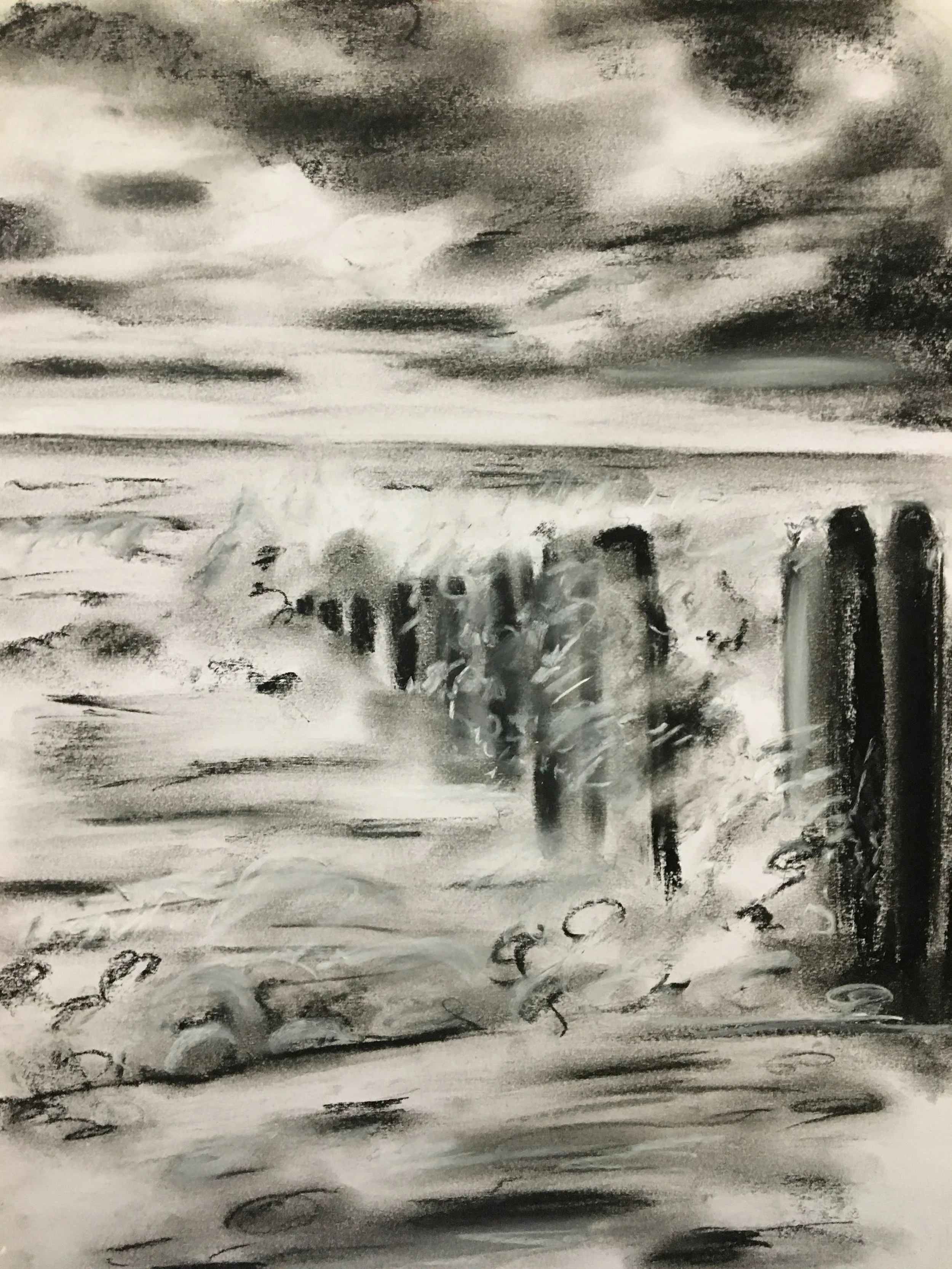 Wild Breakwater
18x22
Charcoal