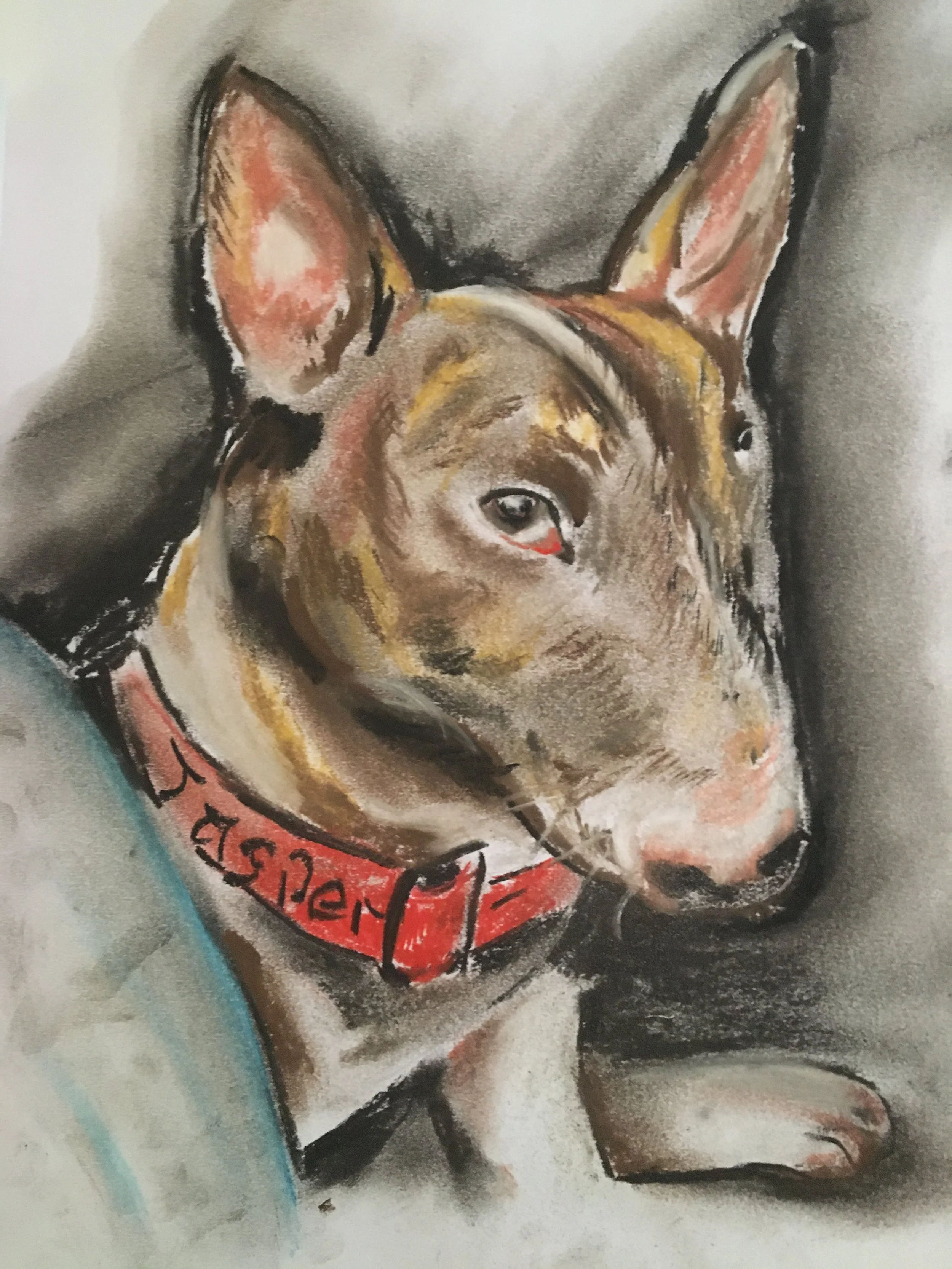 Jasper
18x22
Pastels
