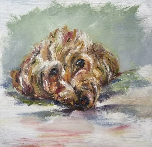 Archie
£120
20X26
Oils