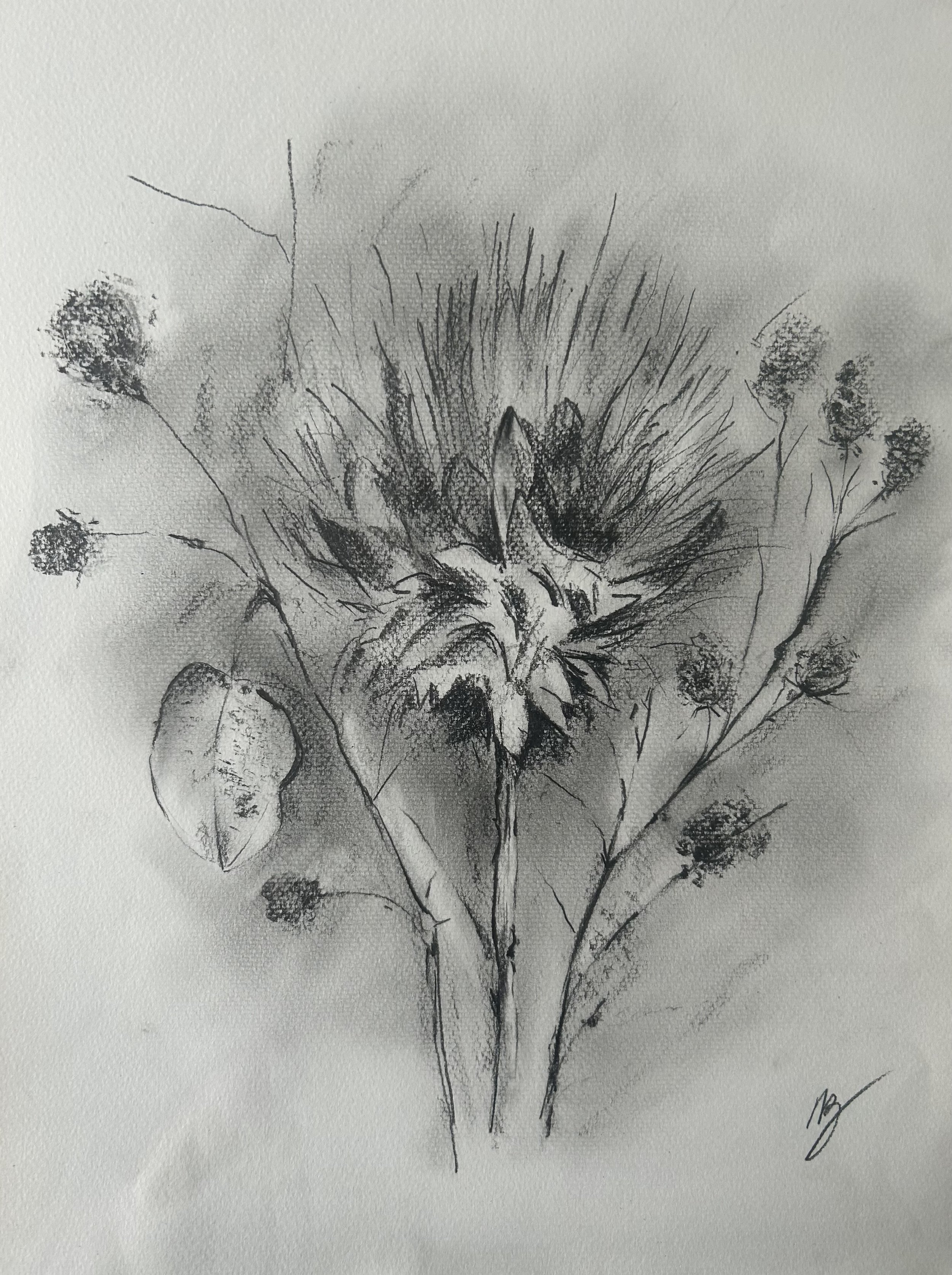 Wild Flowers
£65
26x20
Graphite