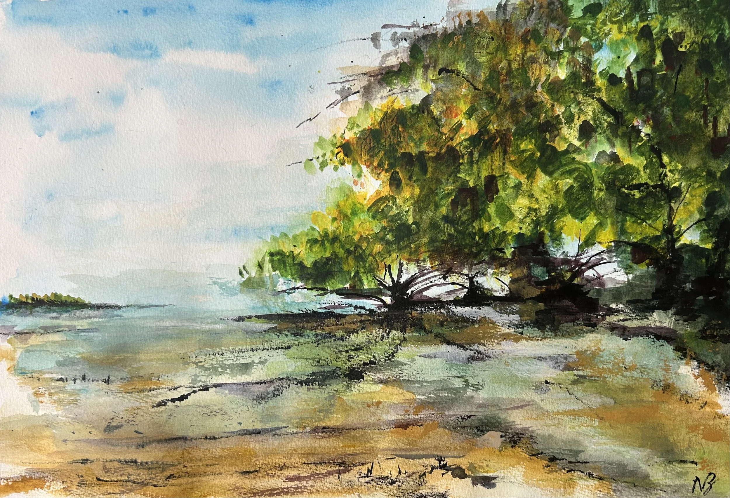 A Carribean Mangrove
£85
18x22
Watercolours