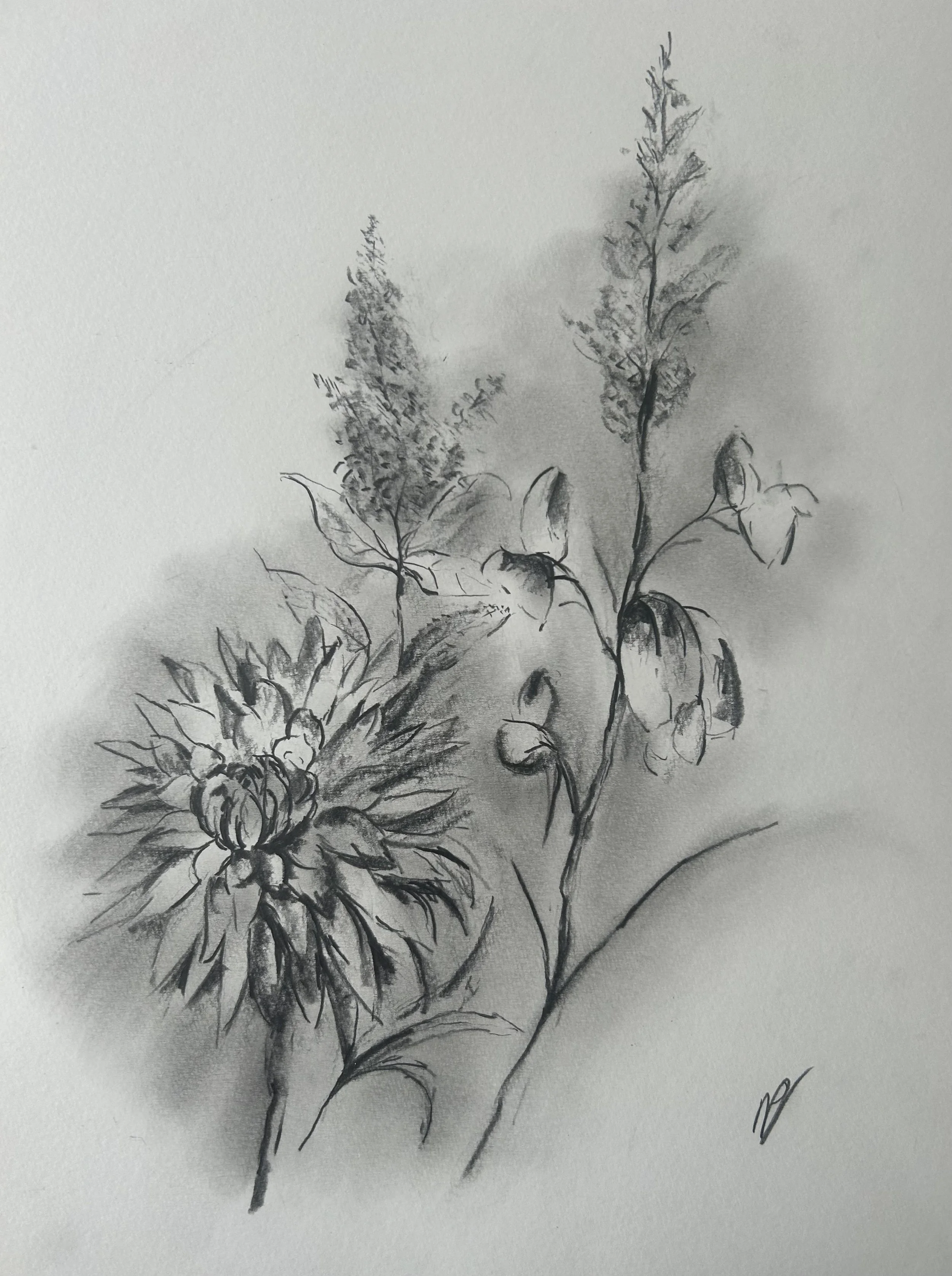 Wild Flowers
£65
26x20
Graphite