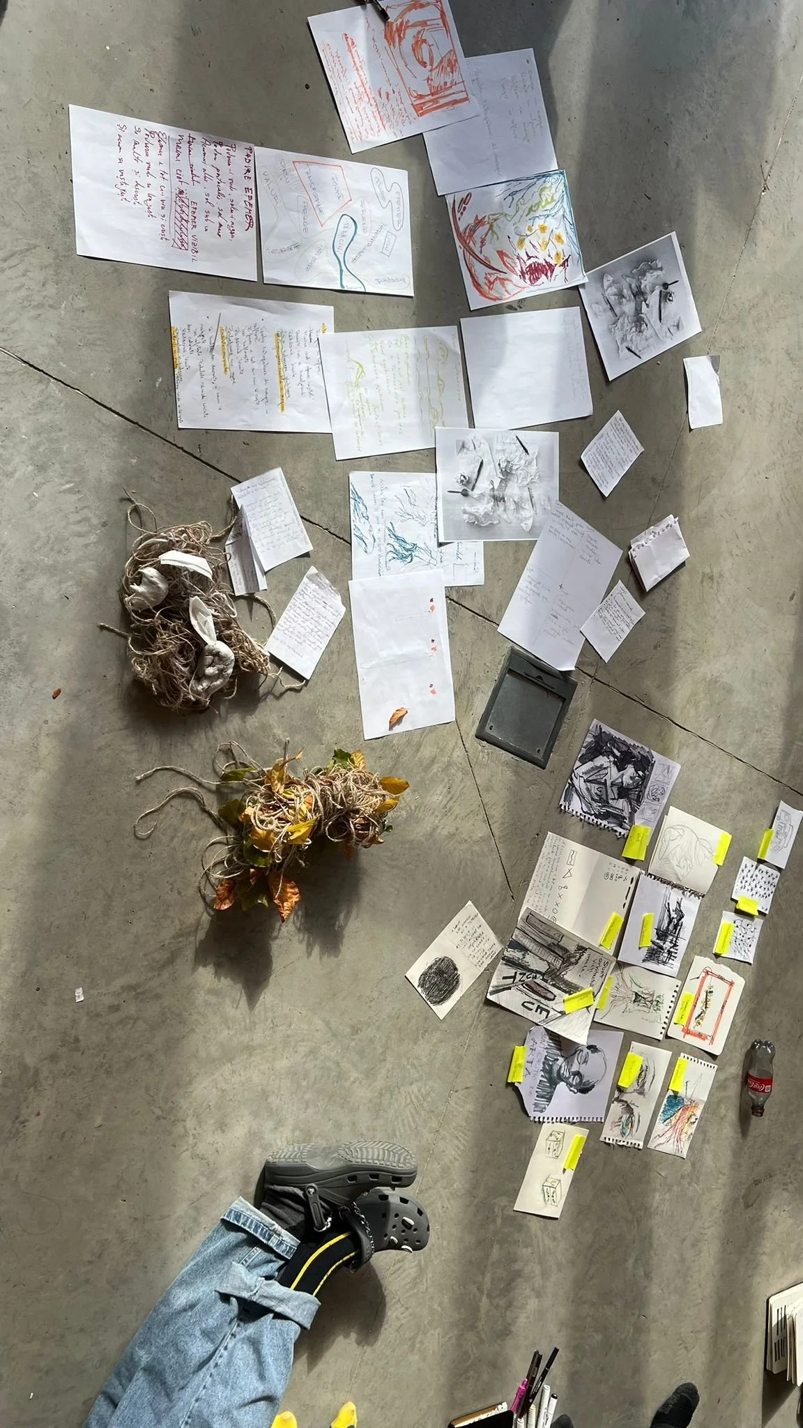 WhatsApp Image 2024-11-10 at 13.53.18_cc098043.jpg