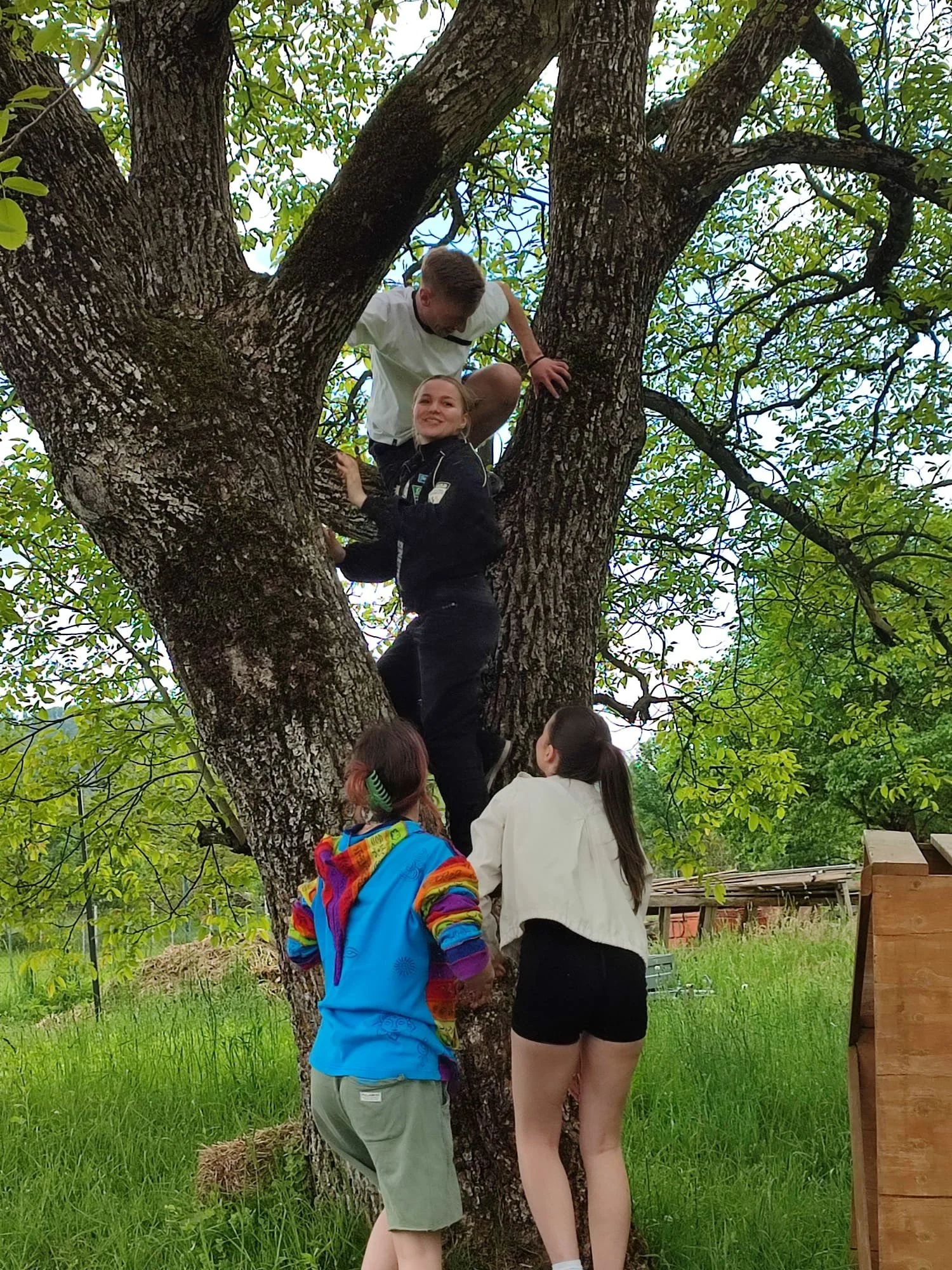 WhatsApp Image 2024-05-12 at 13.08.05.jpeg