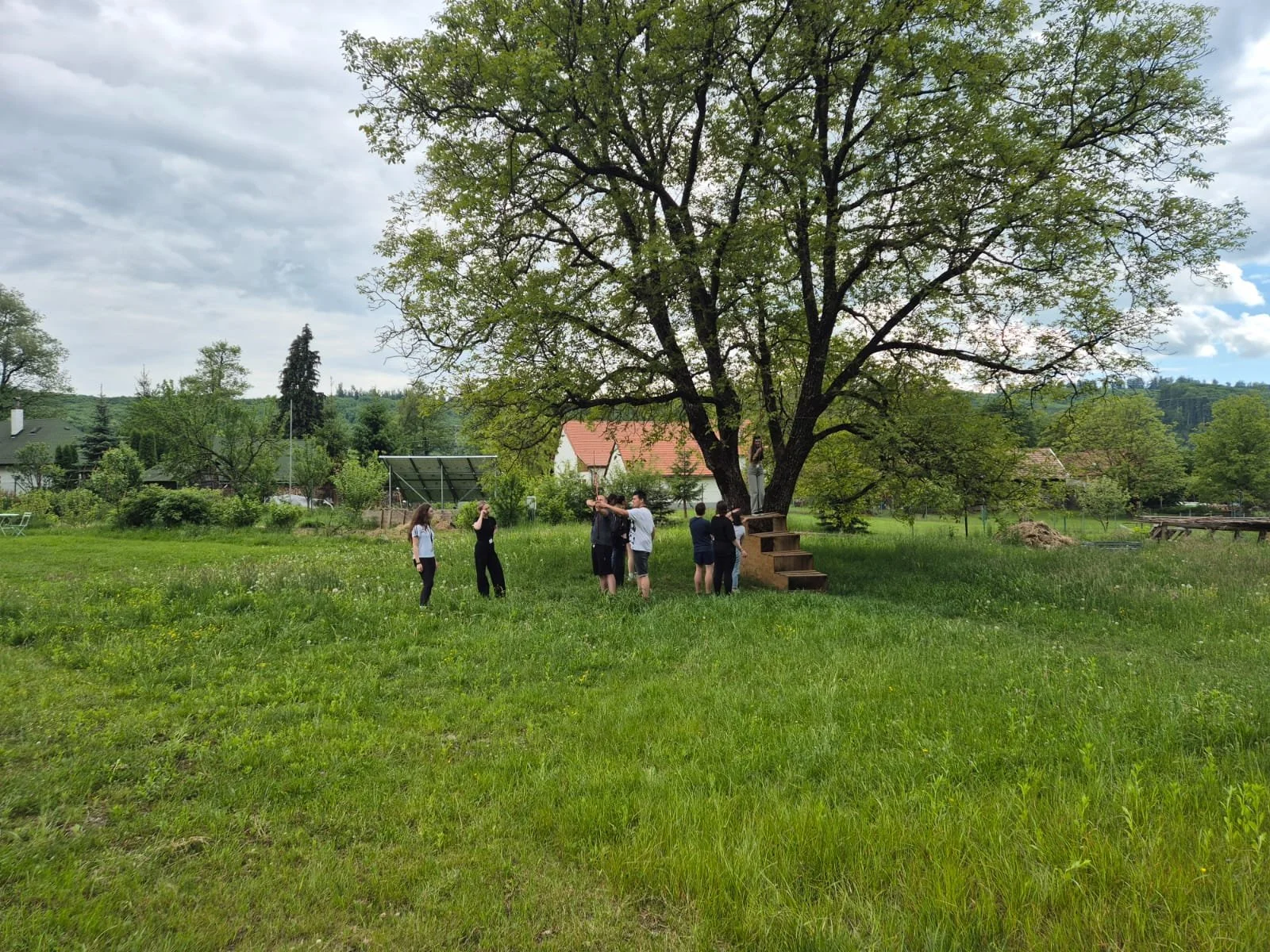 WhatsApp Image 2024-05-12 at 19.26.29.jpeg