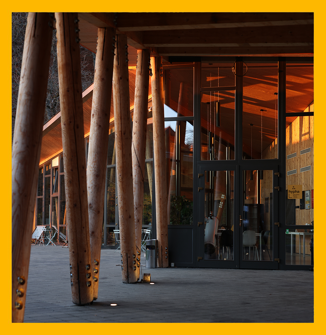 hypha_workshop - Micro-Residency Program — May 2026