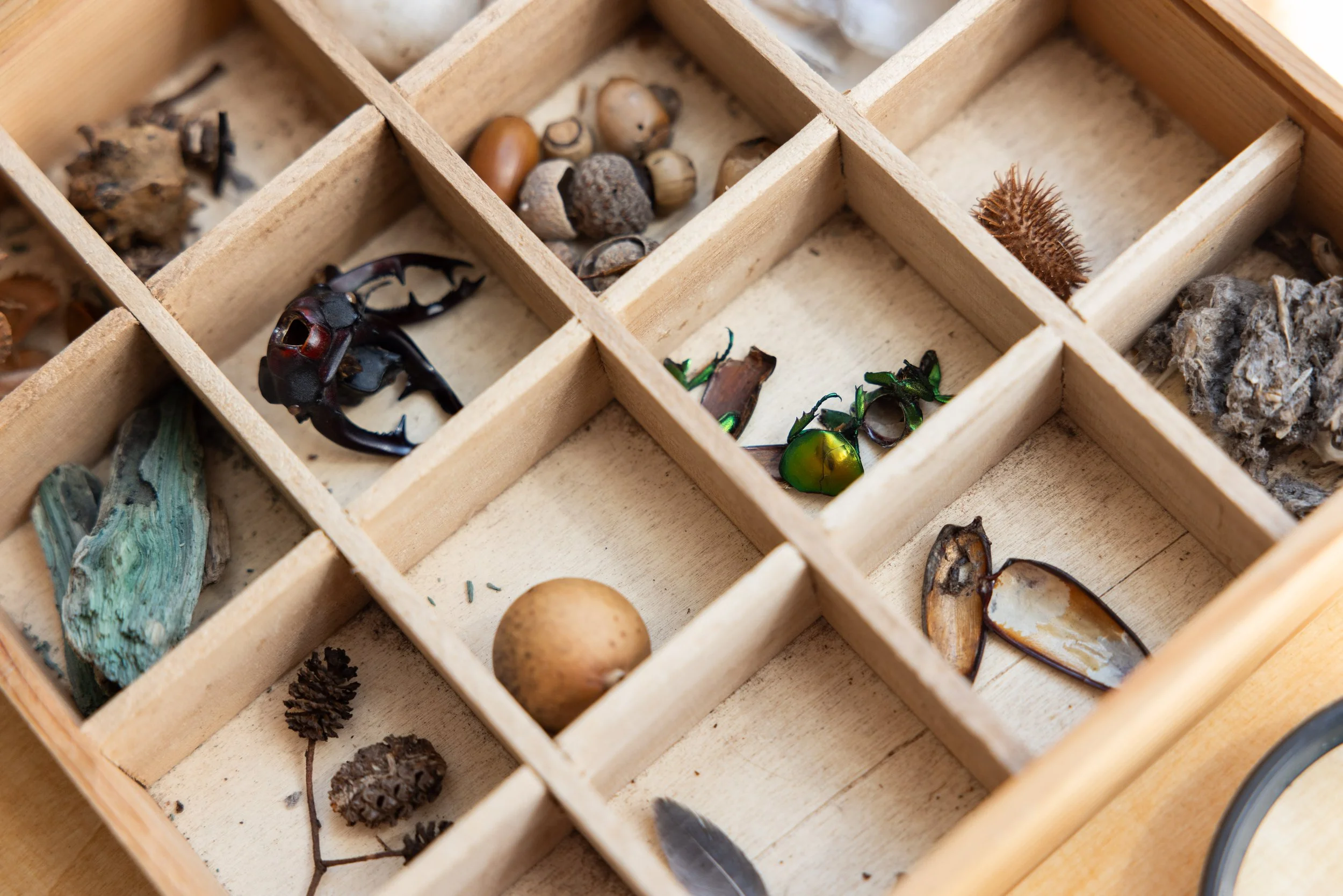 240518Vasárhely107 (1).jpeg