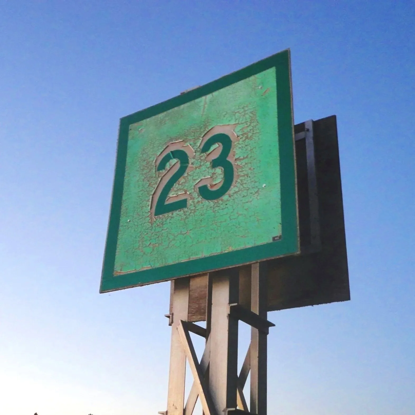 Veterinary Radiology Newsletter #23 