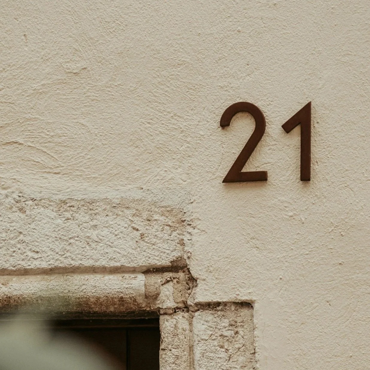 Veterinary Radiology Newsletter #21 