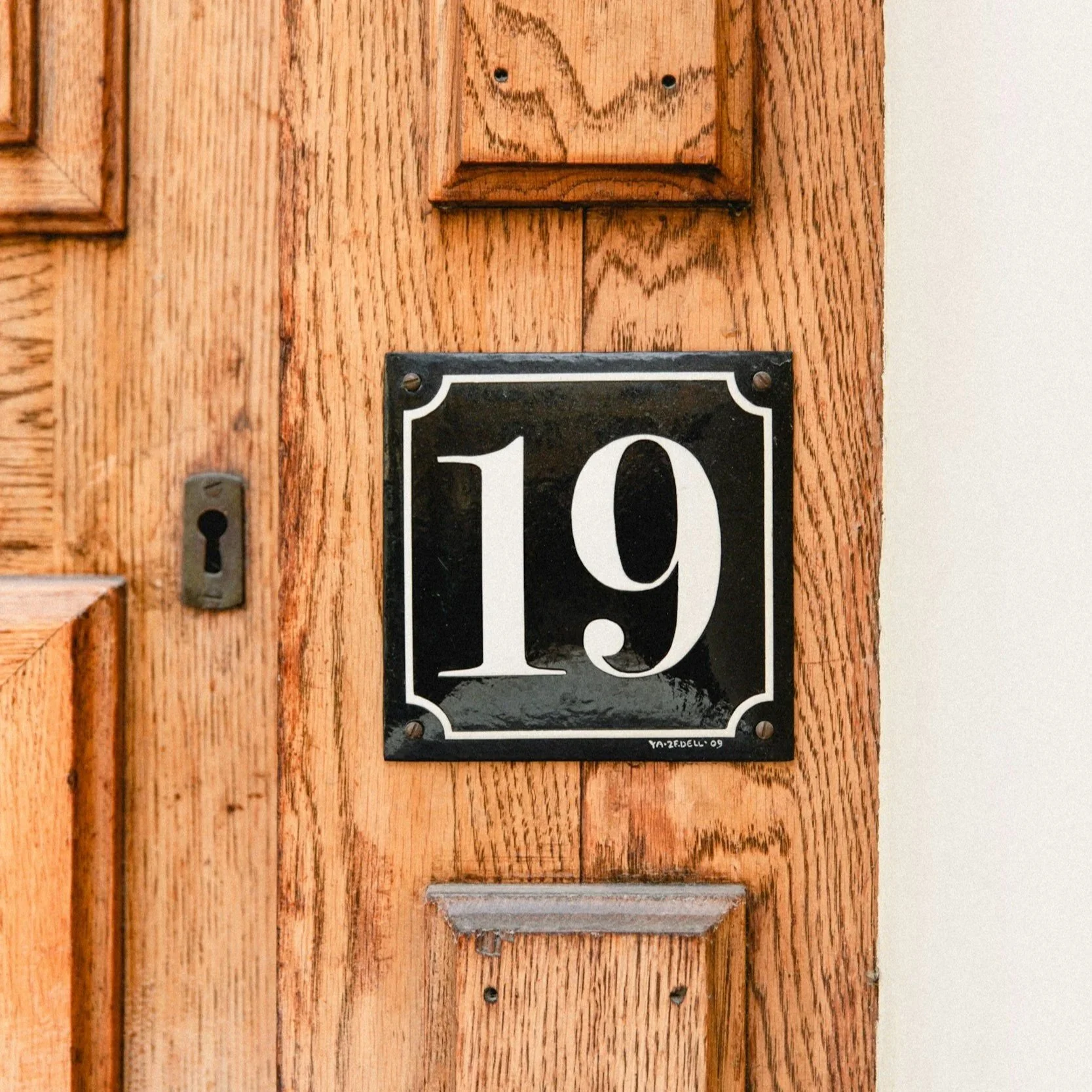 Veterinary Radiology Newsletter #19 