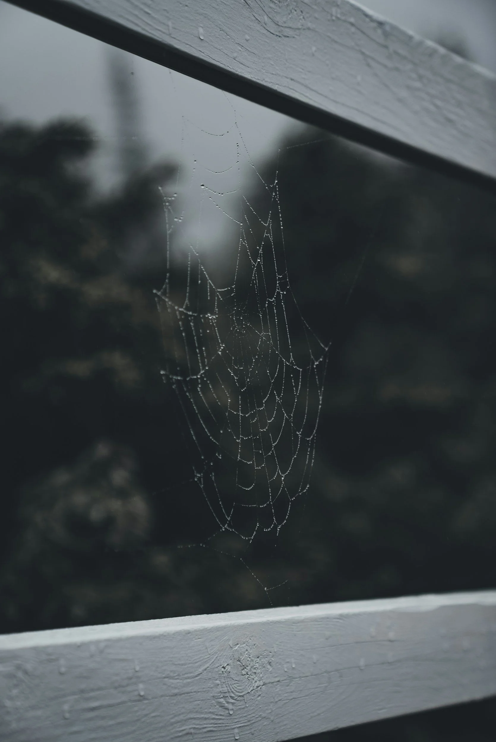 unsplash-image-LATAm_0kN04.jpg
