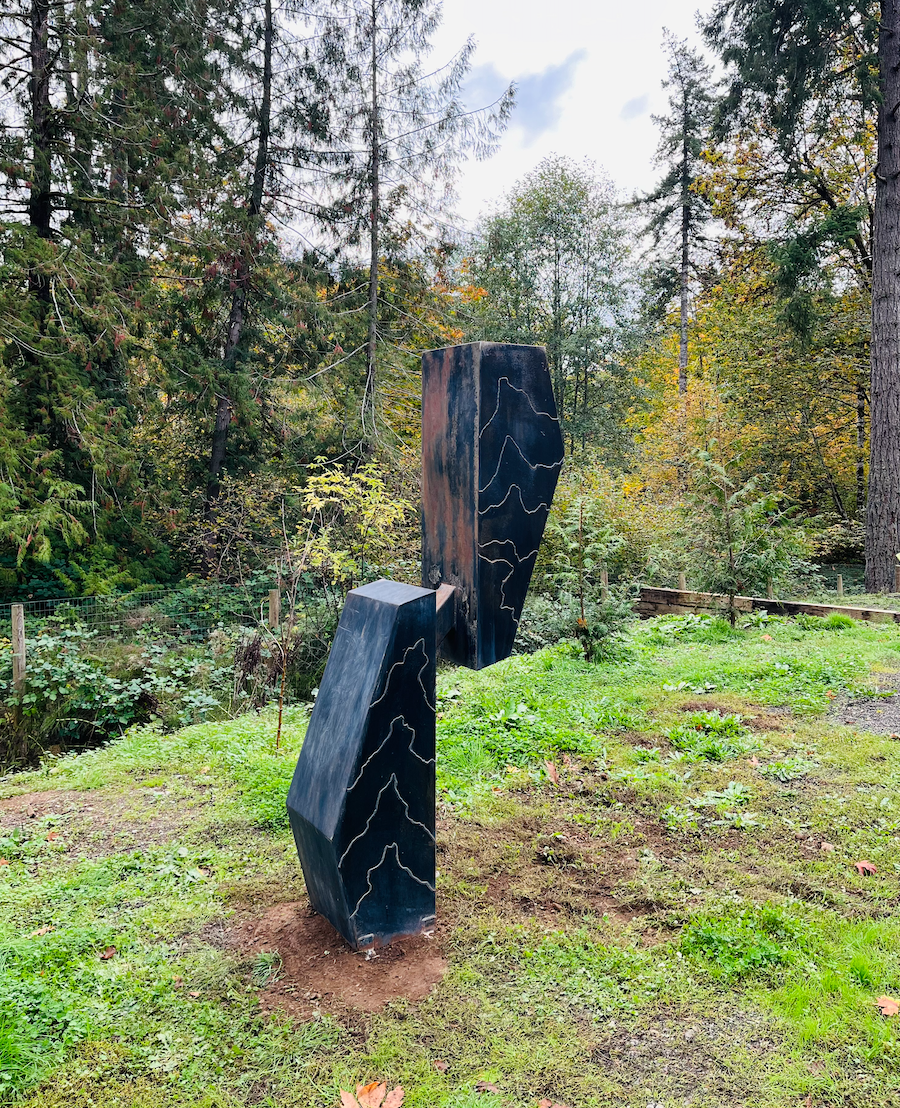 DRAGONFLY - 8’ X 4’ X 2’ MILD STEEL WITH PATINA