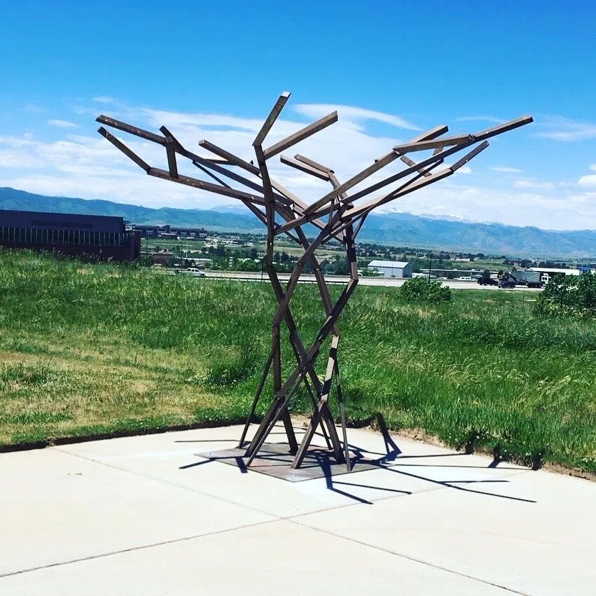 RORSCAVO - 14’ X 14’ X 10’ MILD STEEL