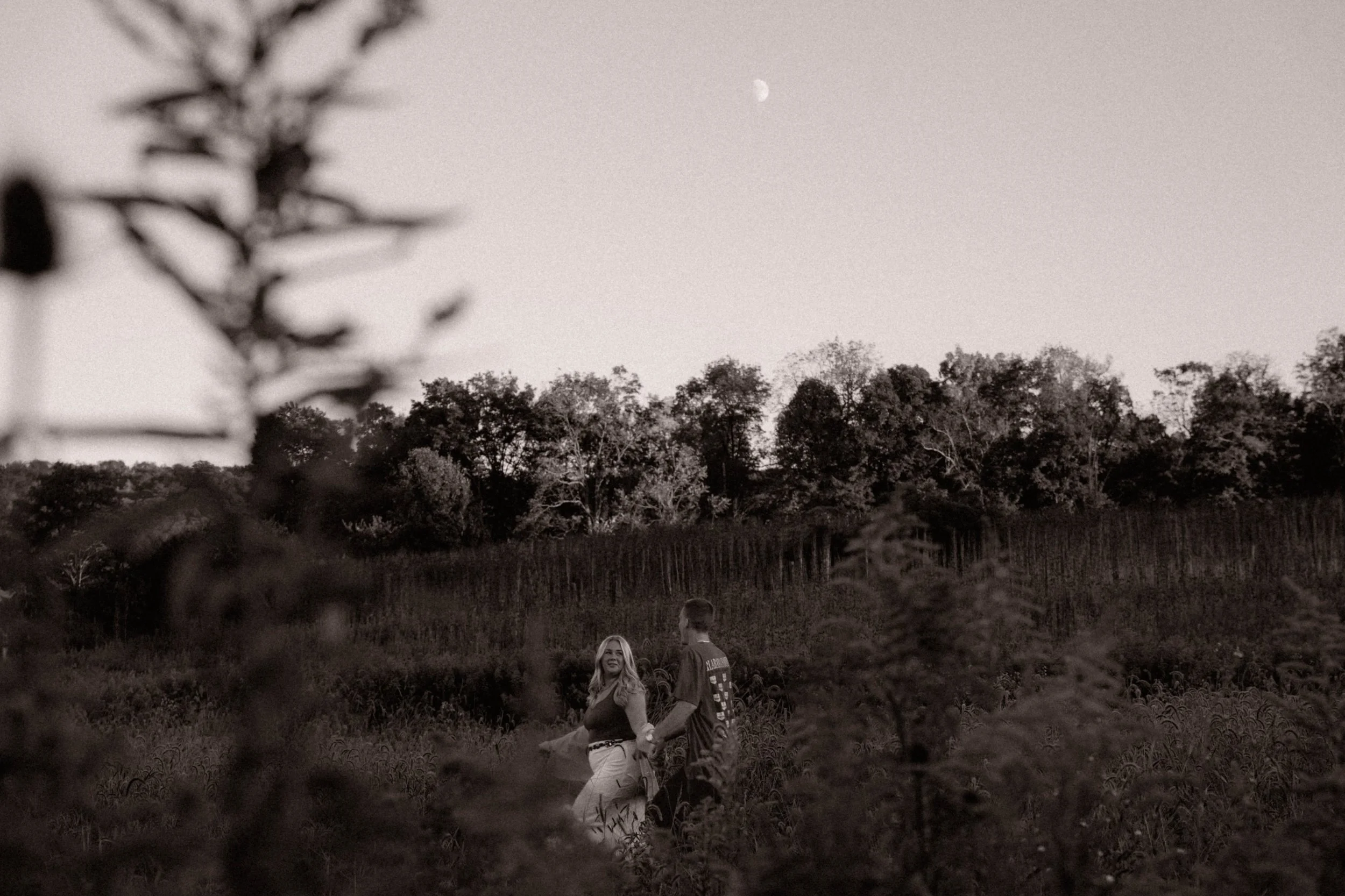 Tayler and Tristan’s Meadow Engagement Session | Full Gallery