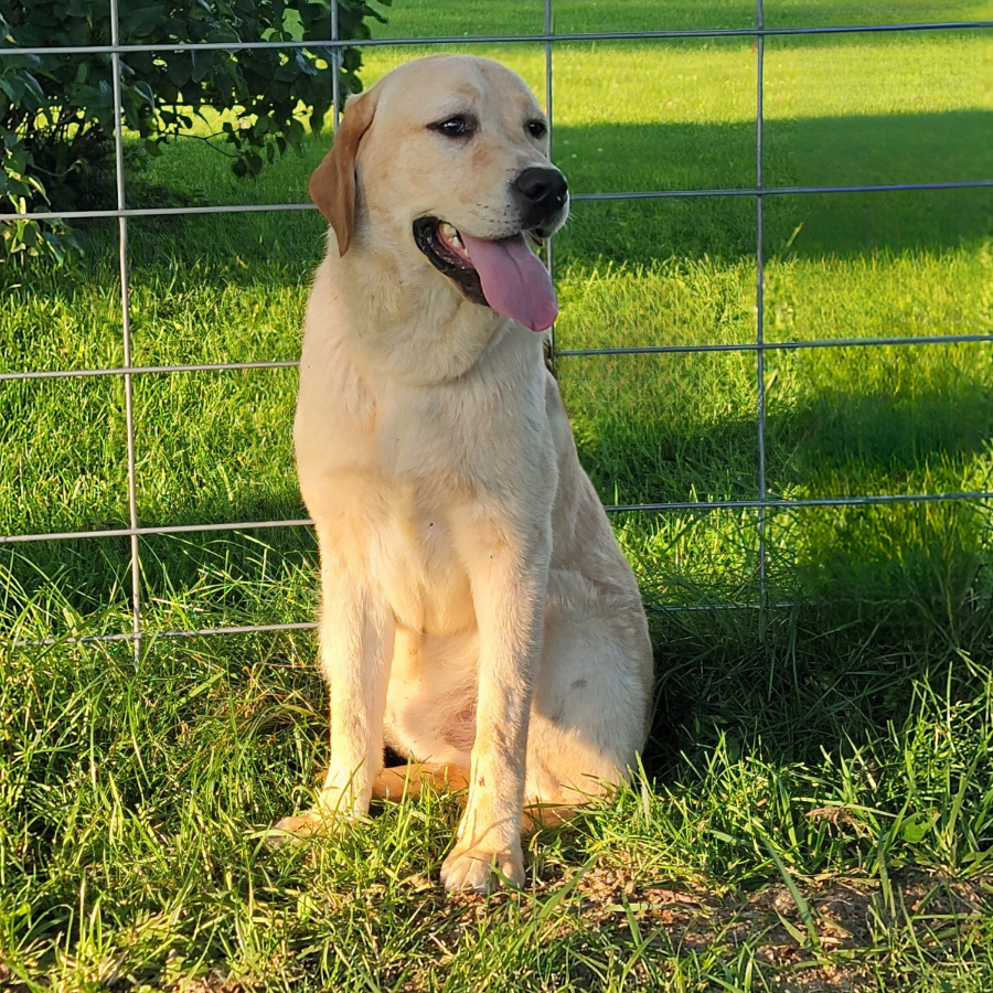 12.png