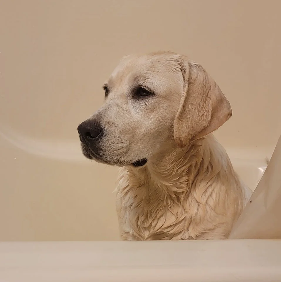 spark bath.jpg