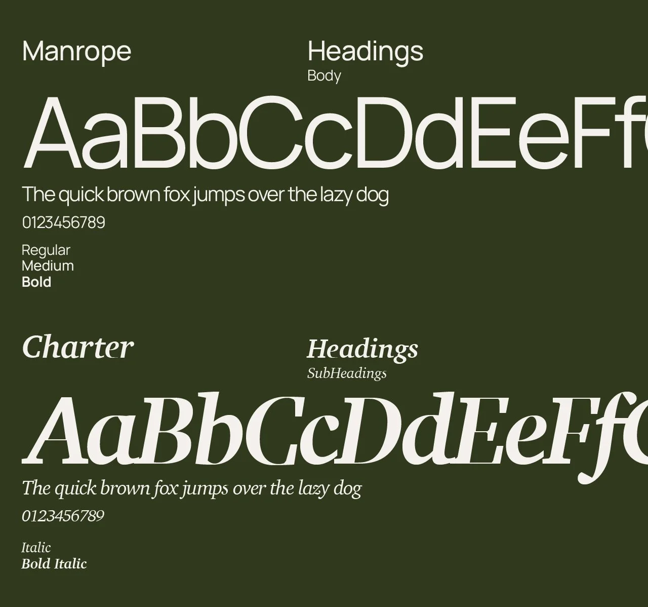 Typography display Manrope and Charter