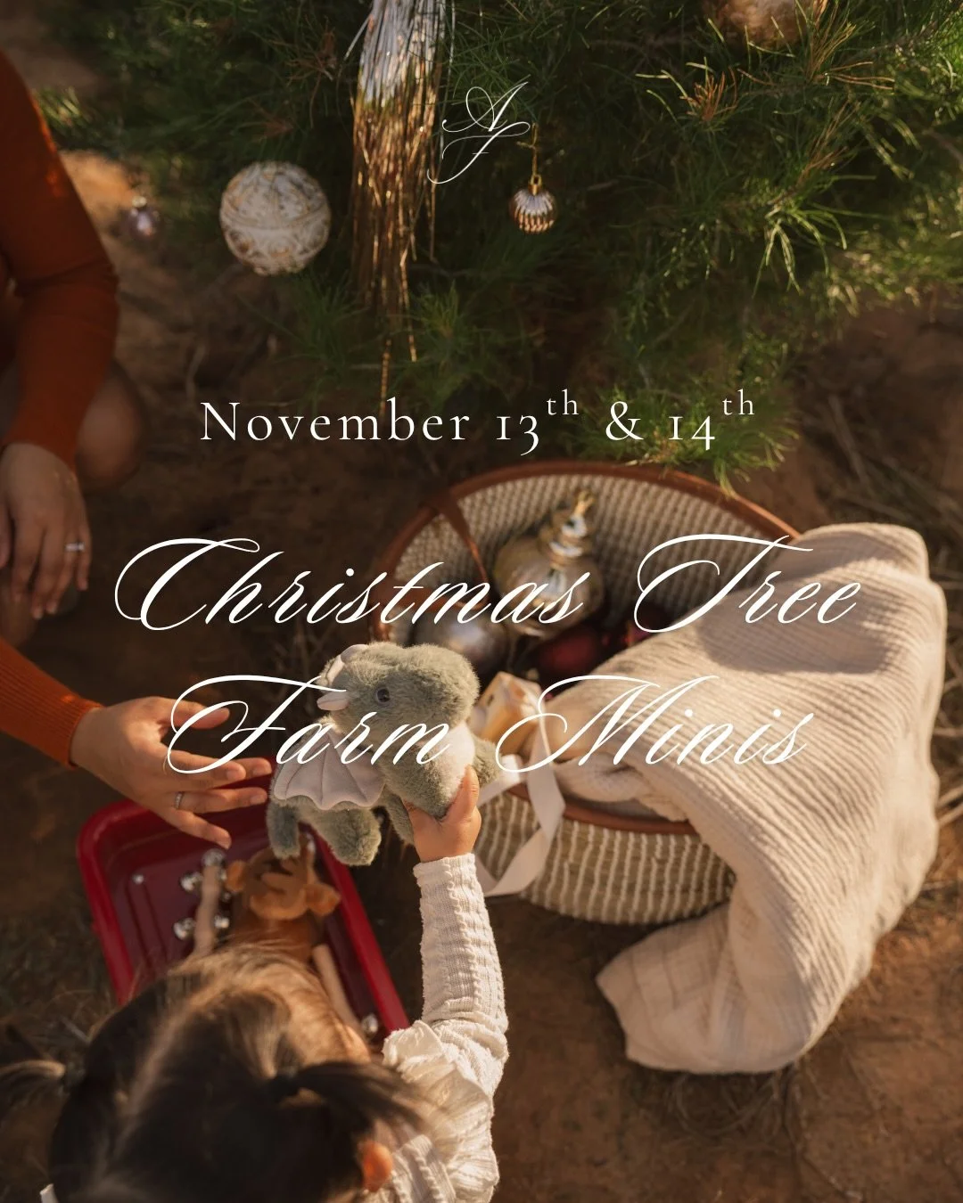 Excited to announce this year&rsquo;s holiday minis will be held at the Family Christmas Tree Farm in El Cajon on November 13th &amp; 14th! 

There will be a lightly decorated tree with room to add more sparkle, a basket of ornaments, blankets, and a