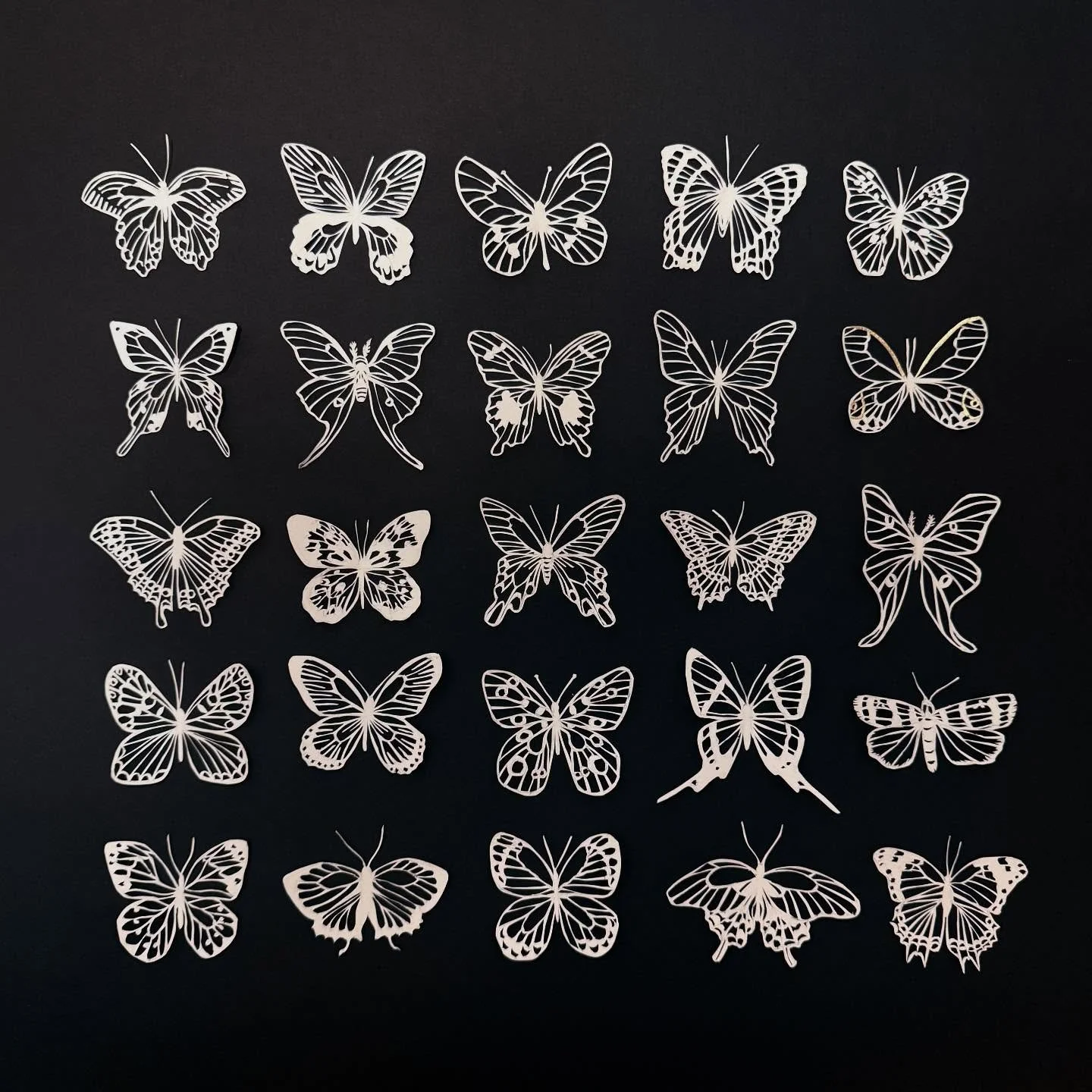 30 years, 30 butterflies. Oh gosh. 

I had a different speech ready but it&rsquo;s not always melodious sonnets and sun lit skies. Today it&rsquo;s rather wild oceans thick with emotions tearing at my chest. Somehow it feels more significant than I e