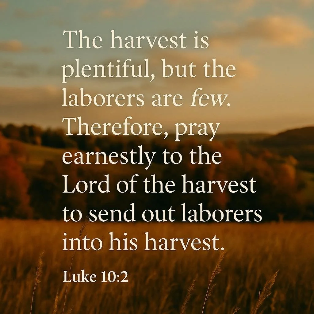 As we celebrate Harvest Sunday, we&rsquo;re reminded that God still calls us to His harvest field &mdash; to pray, to go, and to share His peace wherever we are.