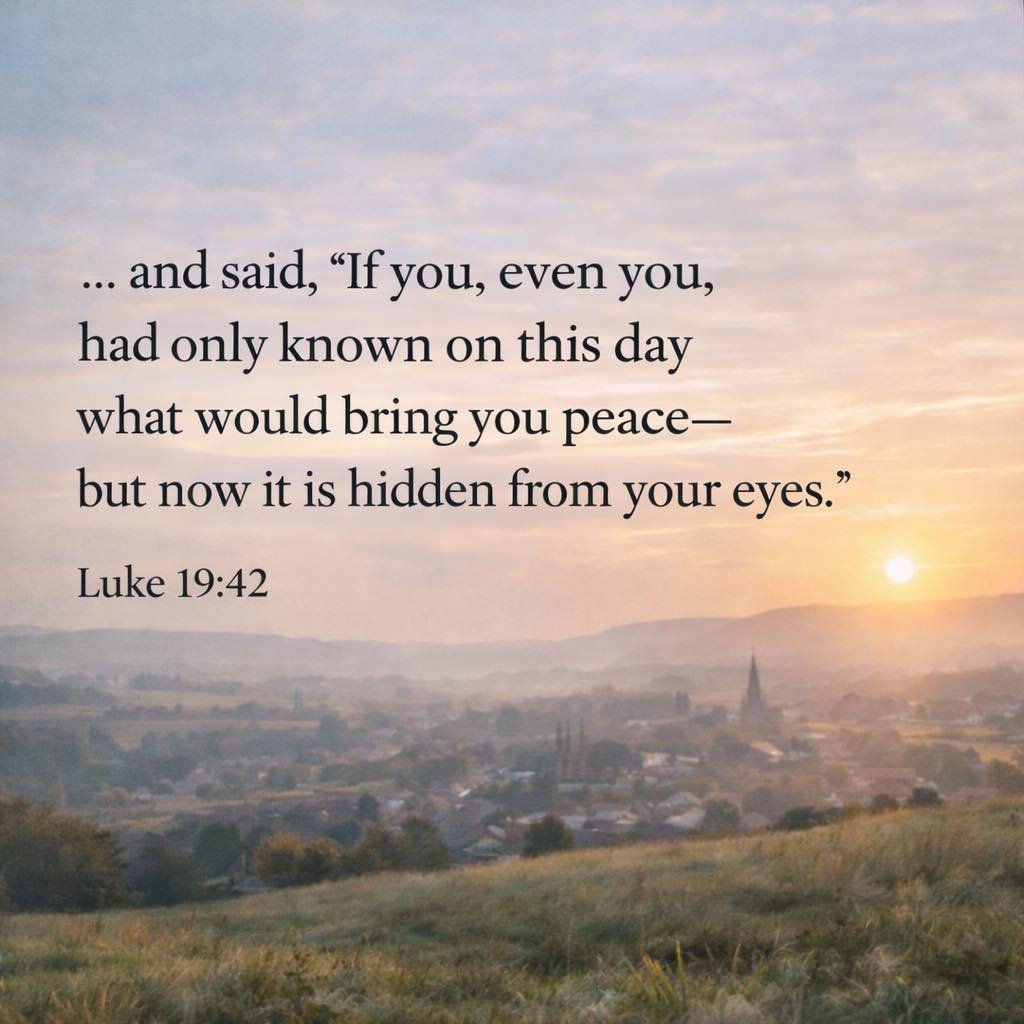 Jesus looked over Jerusalem.
And He wept.

He saw pride.
He saw blindness.
He saw lost people.

&ldquo;If you, even you, had only known on this day what would bring you peace.&rdquo;
Luke 19:42

True peace is not found in the world.
It is found in Ch