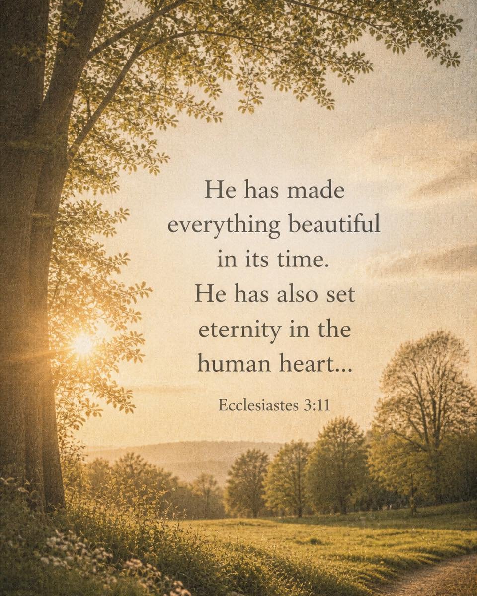 This week in Ecclesiastes, we are reminded that time is not random.

Every season, whether joyful or difficult, has a purpose in God&rsquo;s plan.

The longing we feel for something more is not an accident. It is eternity placed within us, pointing u