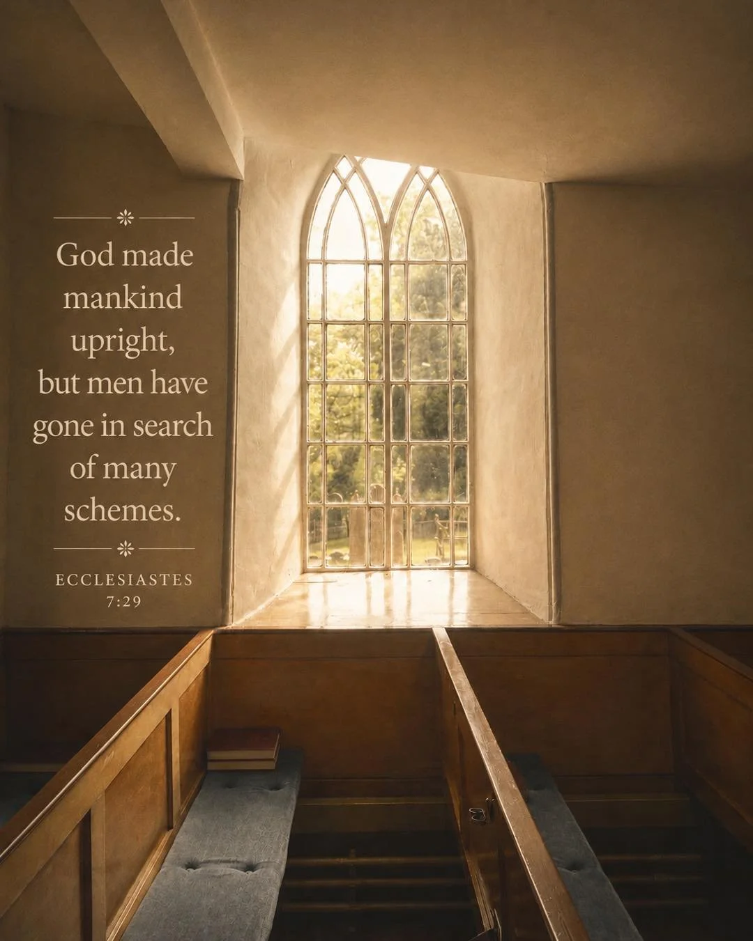 This week in Chasing the Wind, Solomon reminds us of a truth that is both humbling and freeing:

&ldquo;God made mankind upright, but men have gone in search of many schemes.&rdquo; (Ecclesiastes 7:29)

So often we look for our own solutions, our own