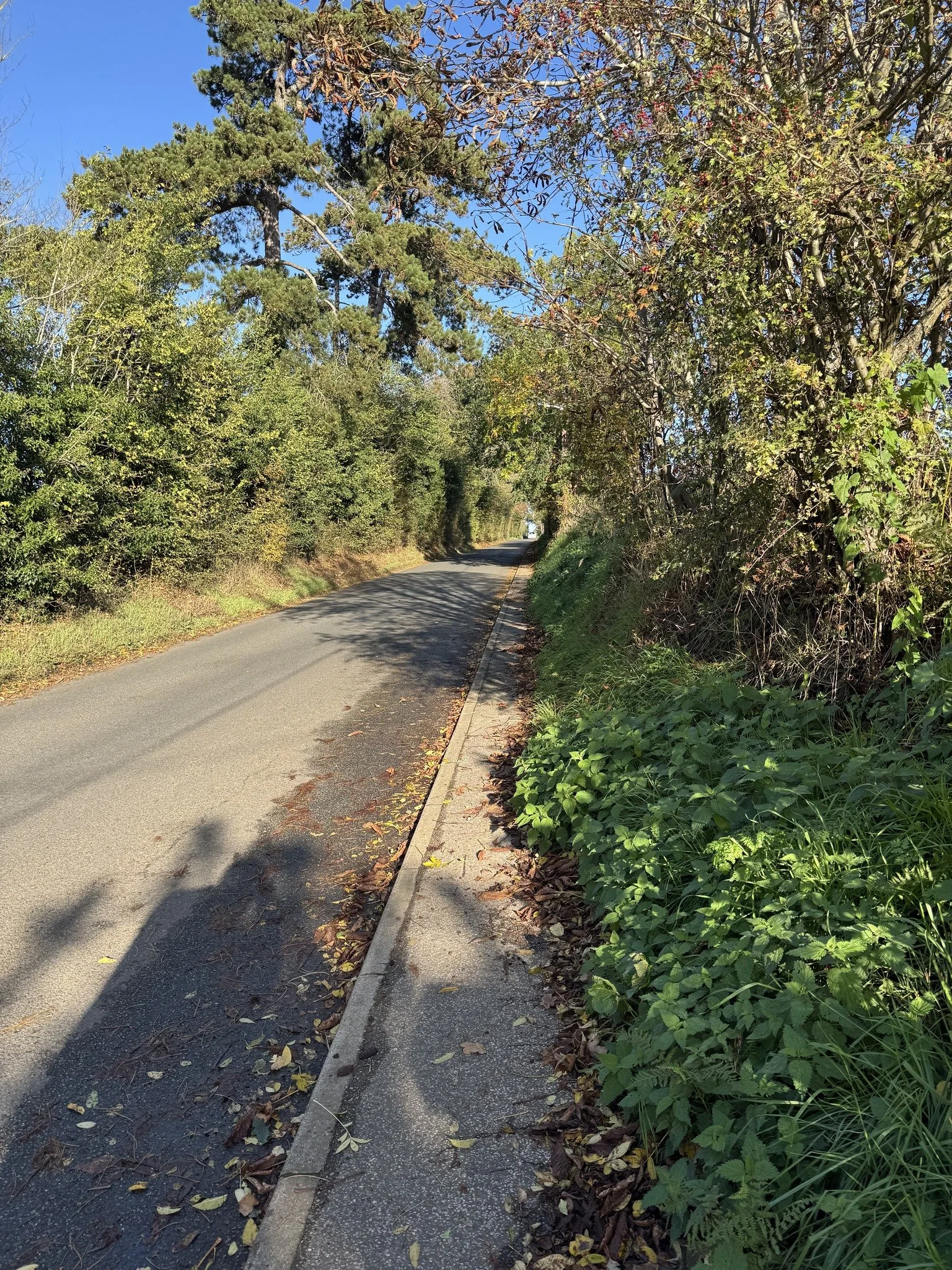 Footway Improvement at Paper Mill Lane Scheduled for February
