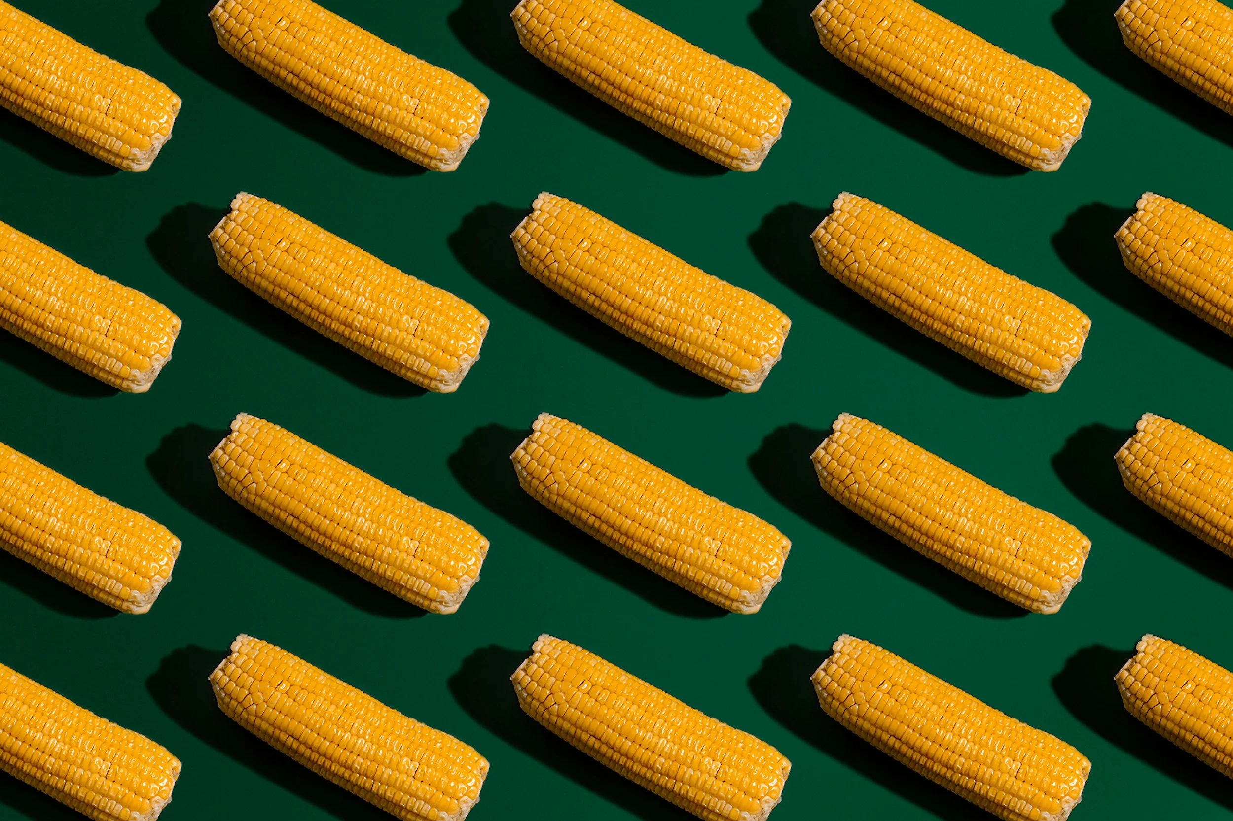 GMOs: Frankenfood or Fear-mongering?