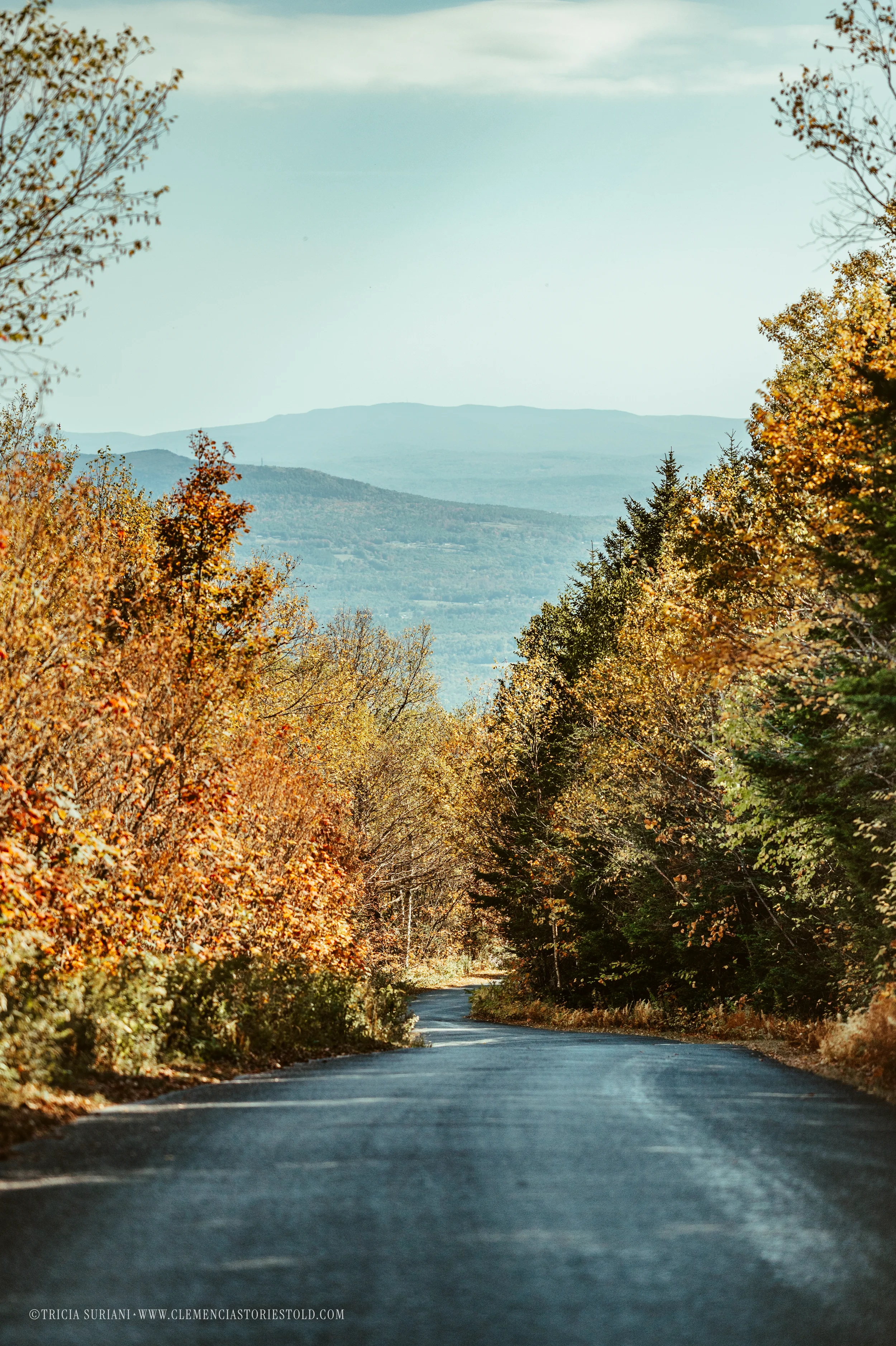 Grafton Gran Fondo_Vermont_Photo by Tricia Suriani-15.webp