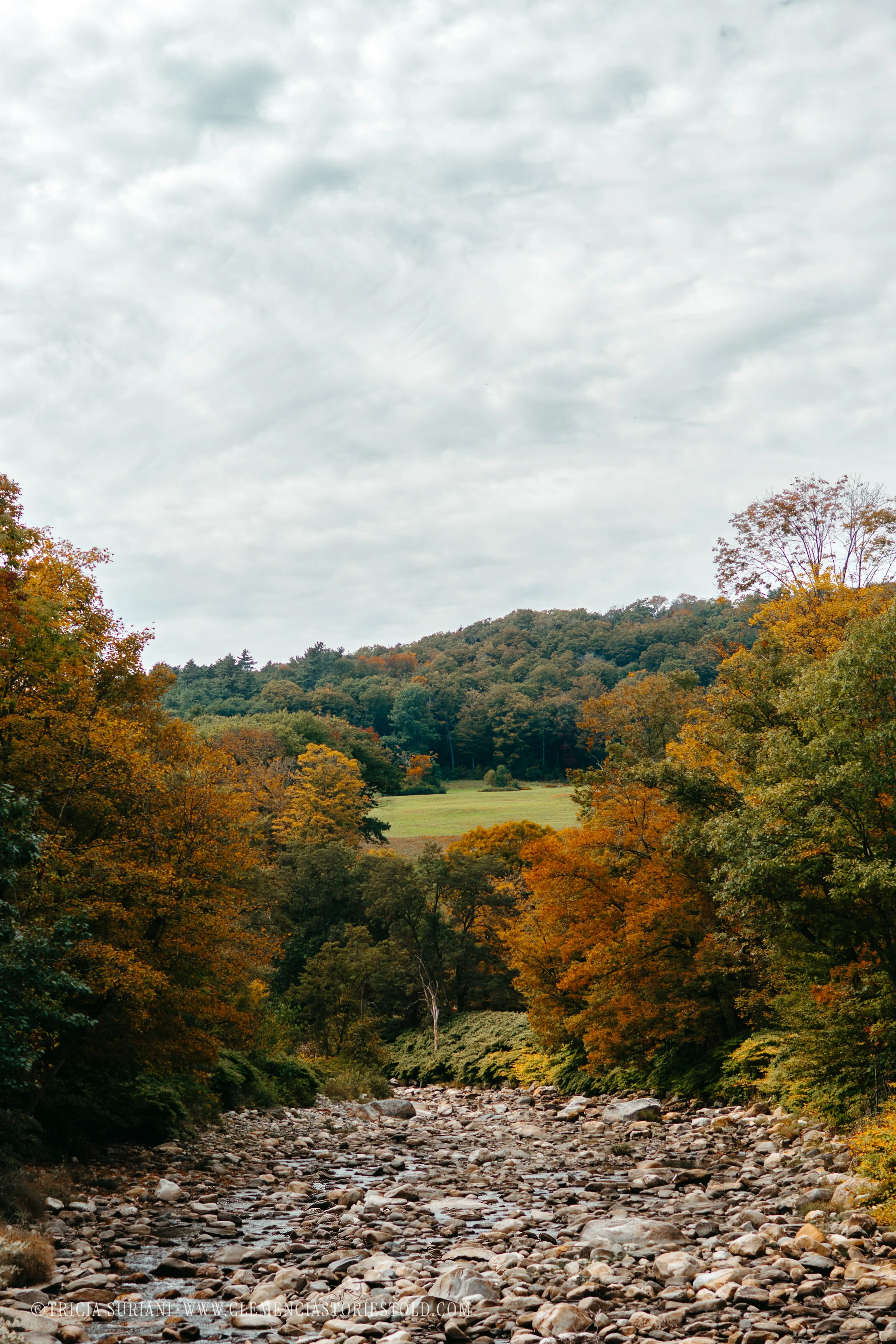 Grafton Vermont_Photo by Tricia Suriani-1.webp