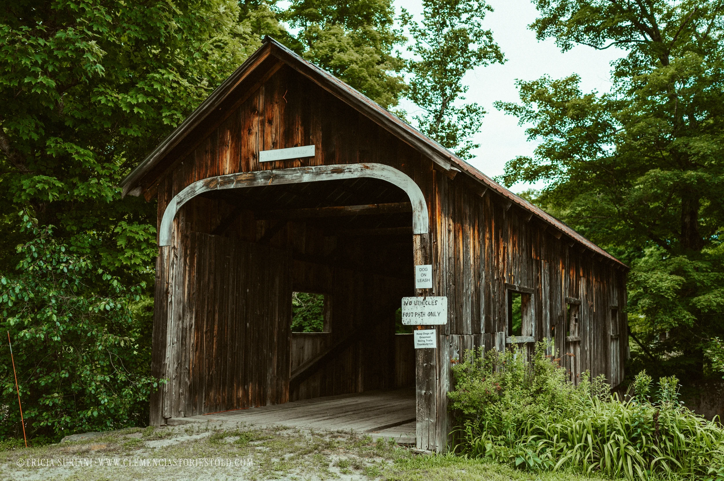 Grafton Vermont_Photo by Tricia Suriani-5.webp